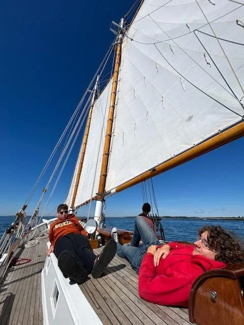 IMG955263.jpg