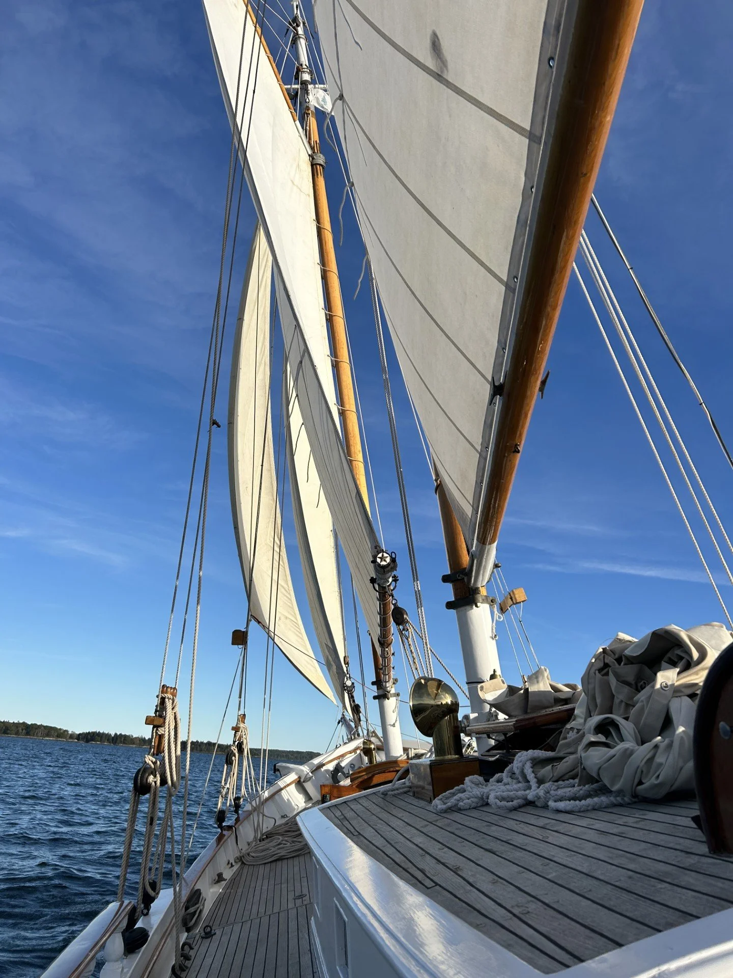 Sailing SJ my birthday week.jpg