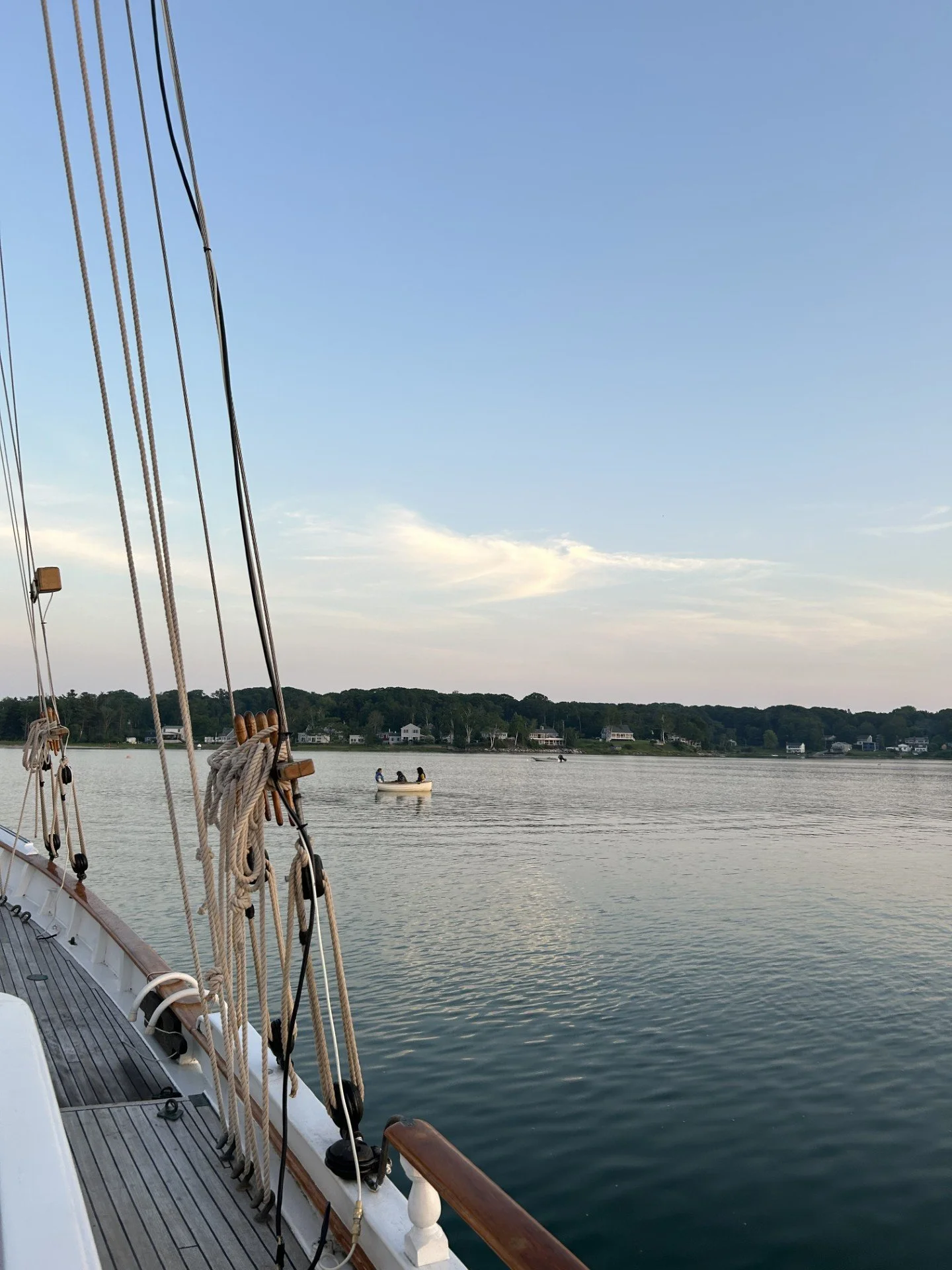 students and AM rowing.jpg