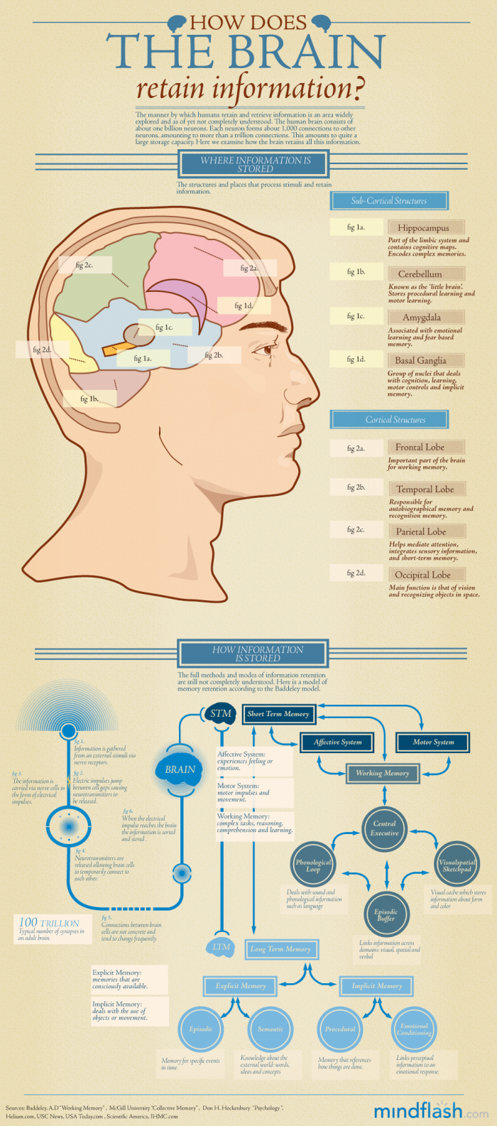 Credit: Dailyinfographic.com