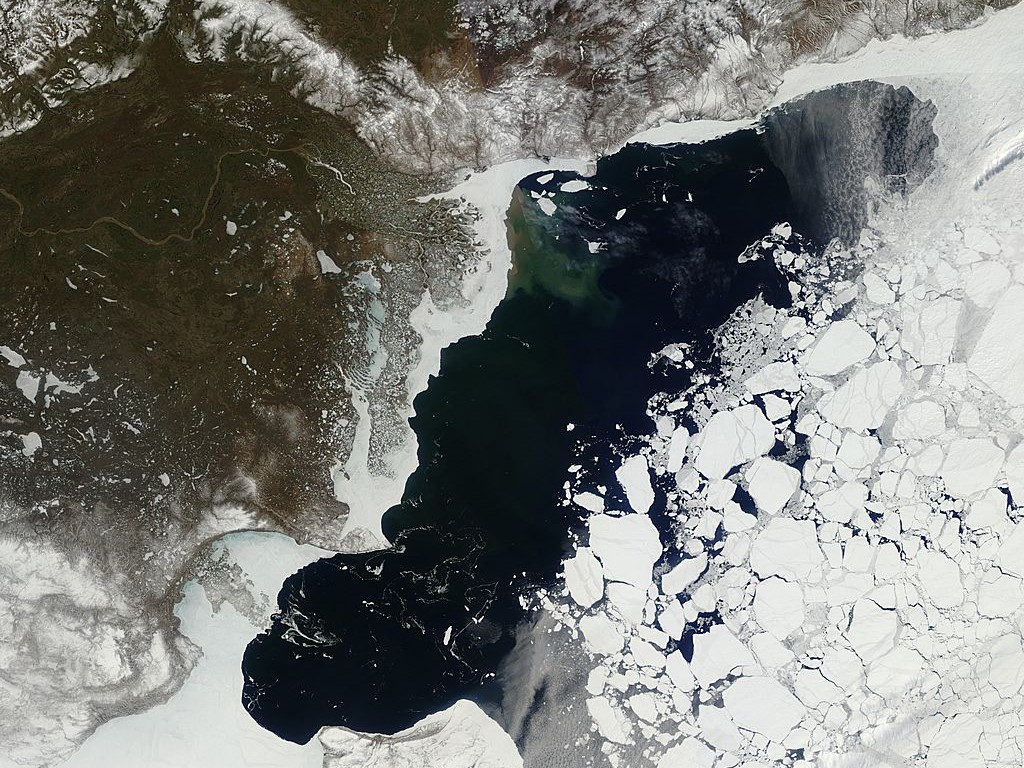 View of the Arctic sea ice in the Beaufort sea from the Moderate Resolution Imaging Spectroradiometer (MODIS) sensor. Cover credit: NSIDC , NASA (GSFC)
