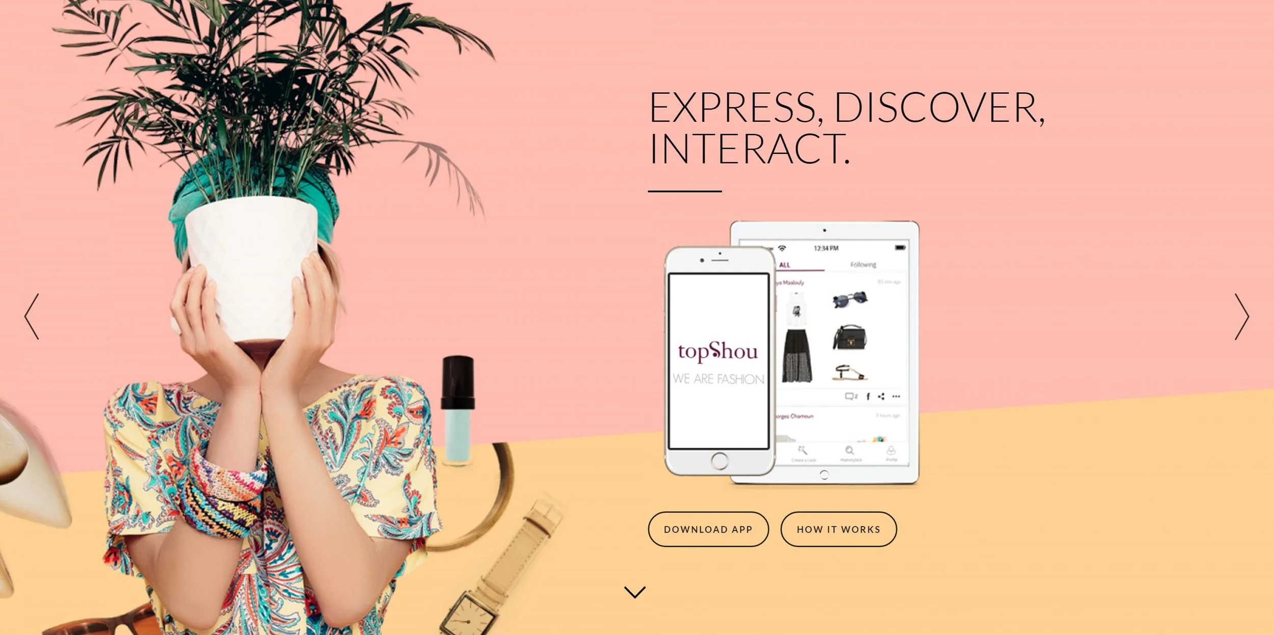 Grab from the TopShou website.