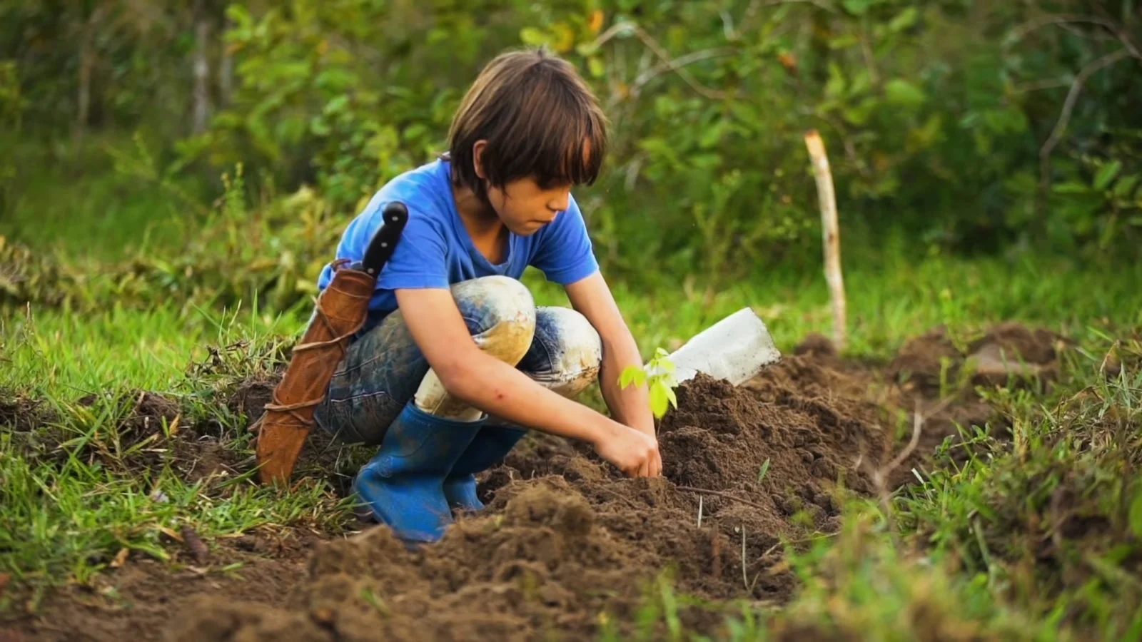 Millennials can help save the environment by winning this competition