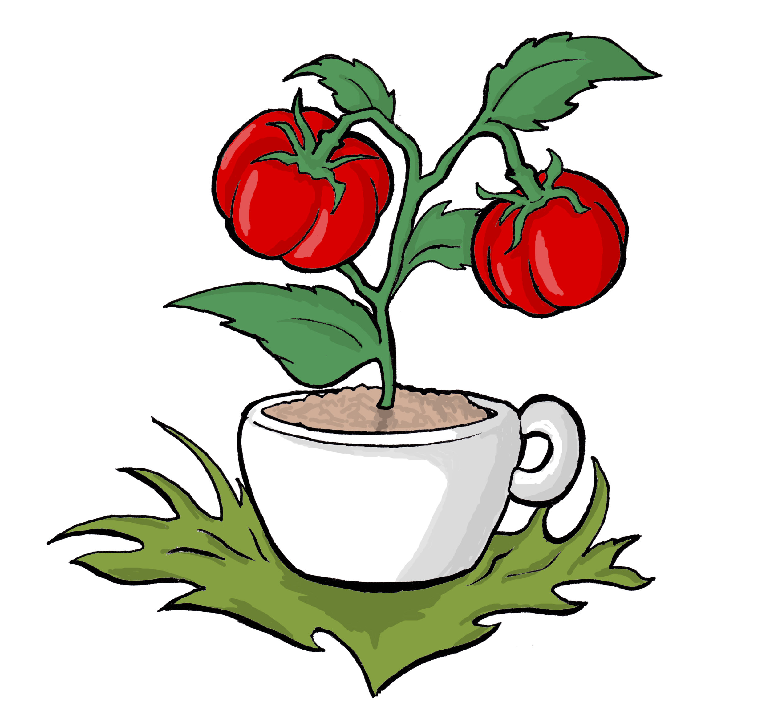 Omani youth company produces eco-friendly cups to promote sustainability