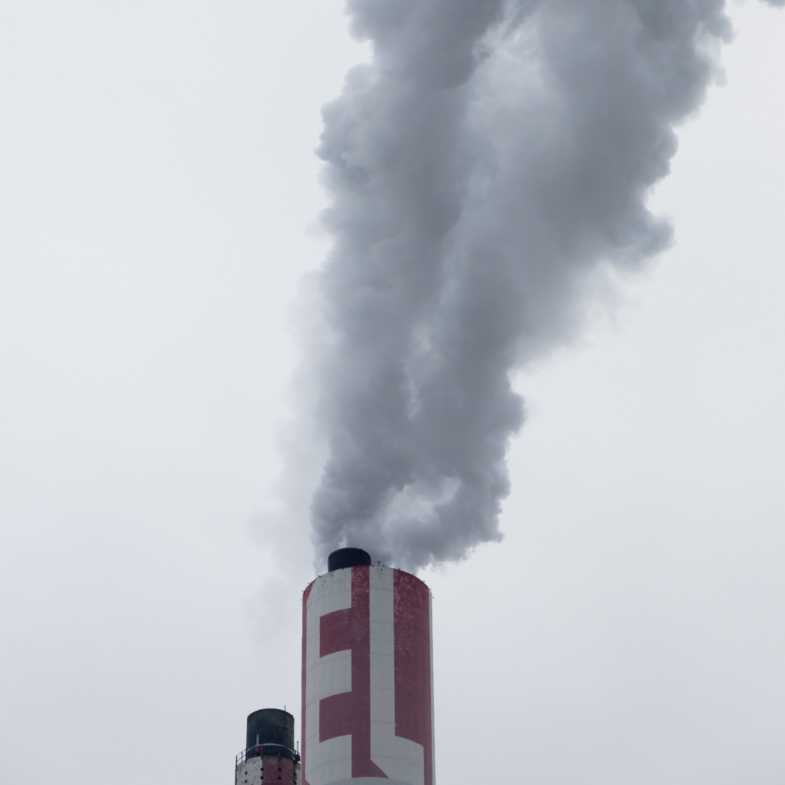 SDG 13, “Climate action”: how Millennials can take action against climate change