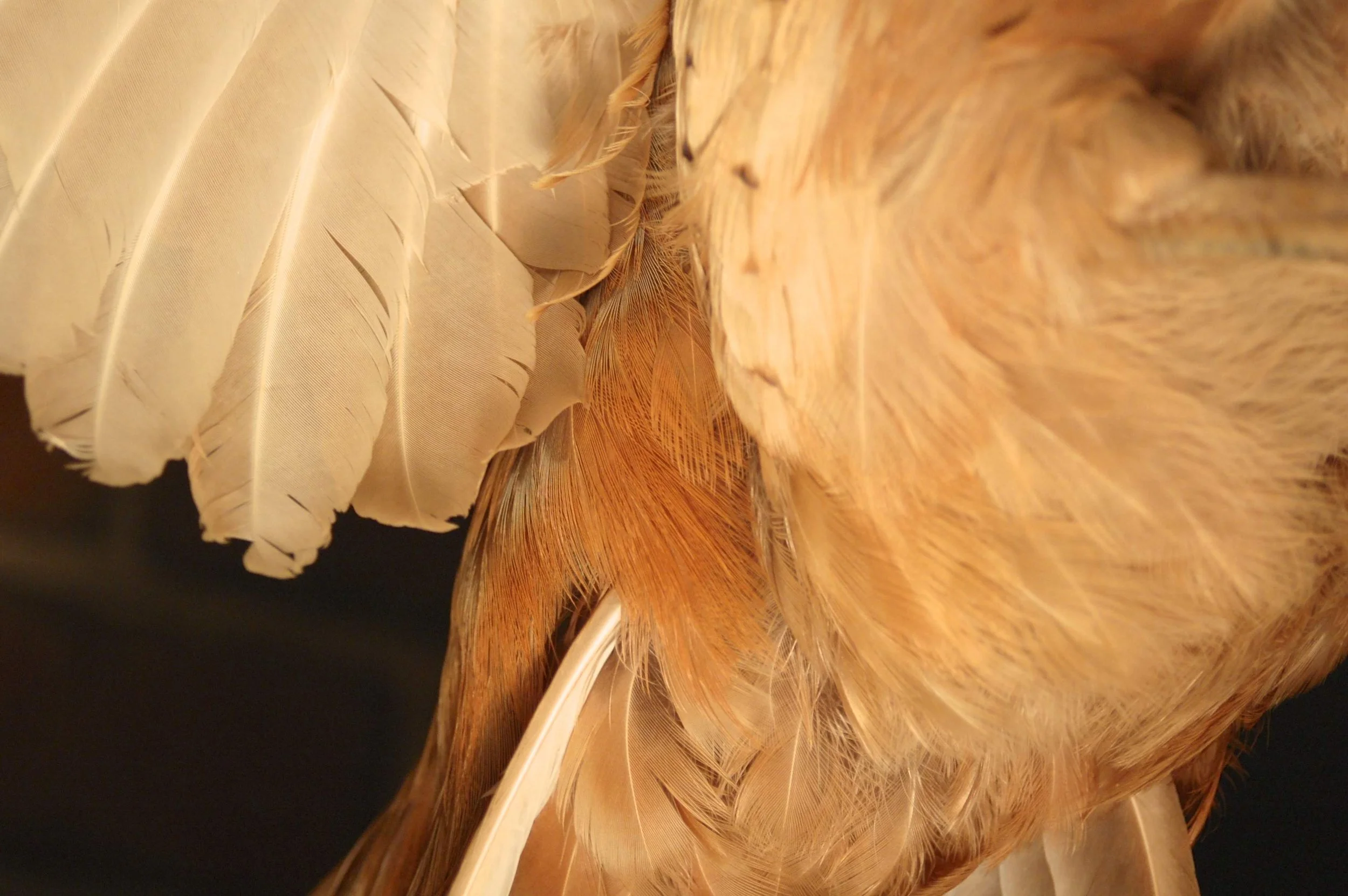 2012-07-20 16.58.53.jpg