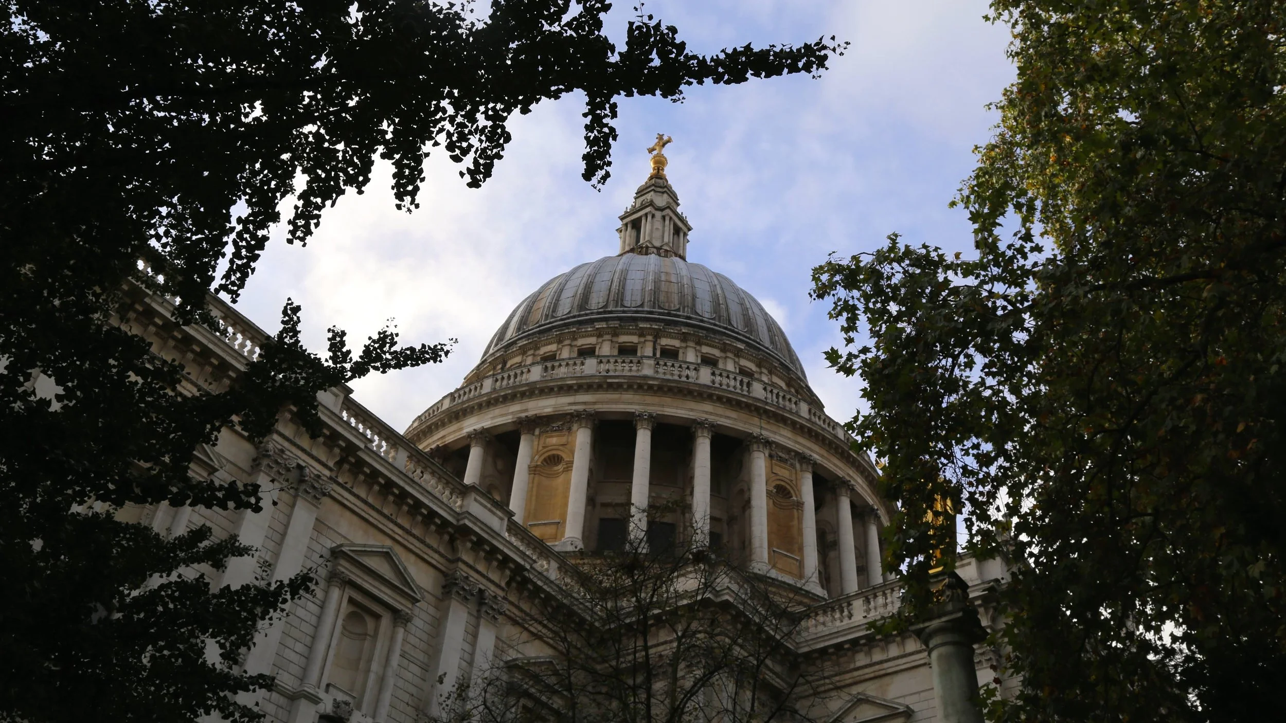 2014-11-08 06.26.28.jpg