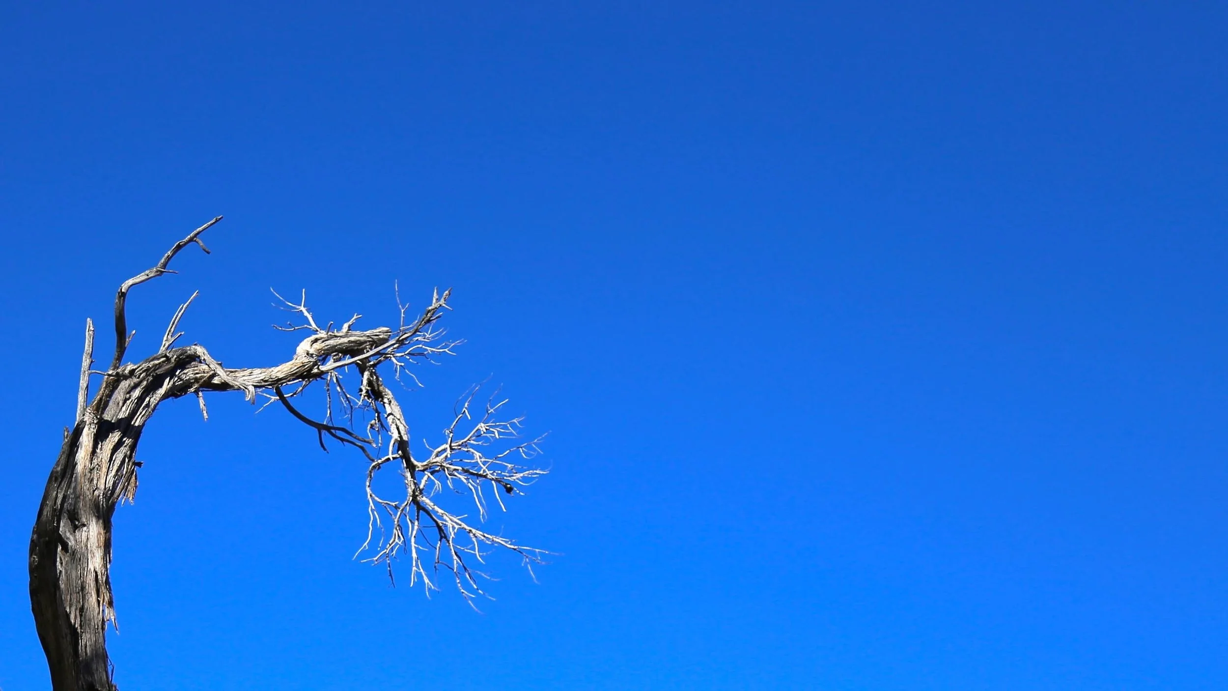 2014-12-28 16.52.43.jpg