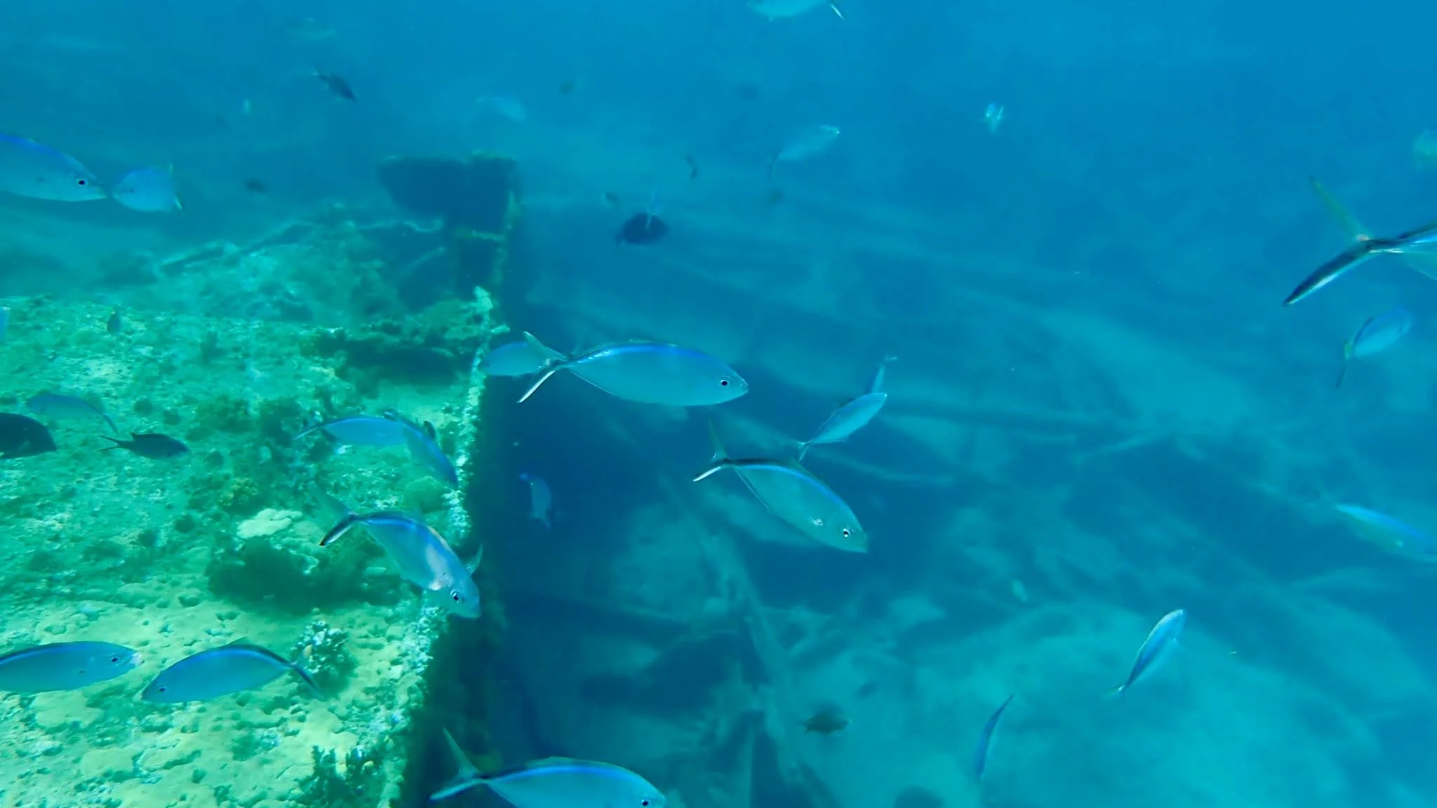 Photo Jul 10, 12 36 14 PM.jpg