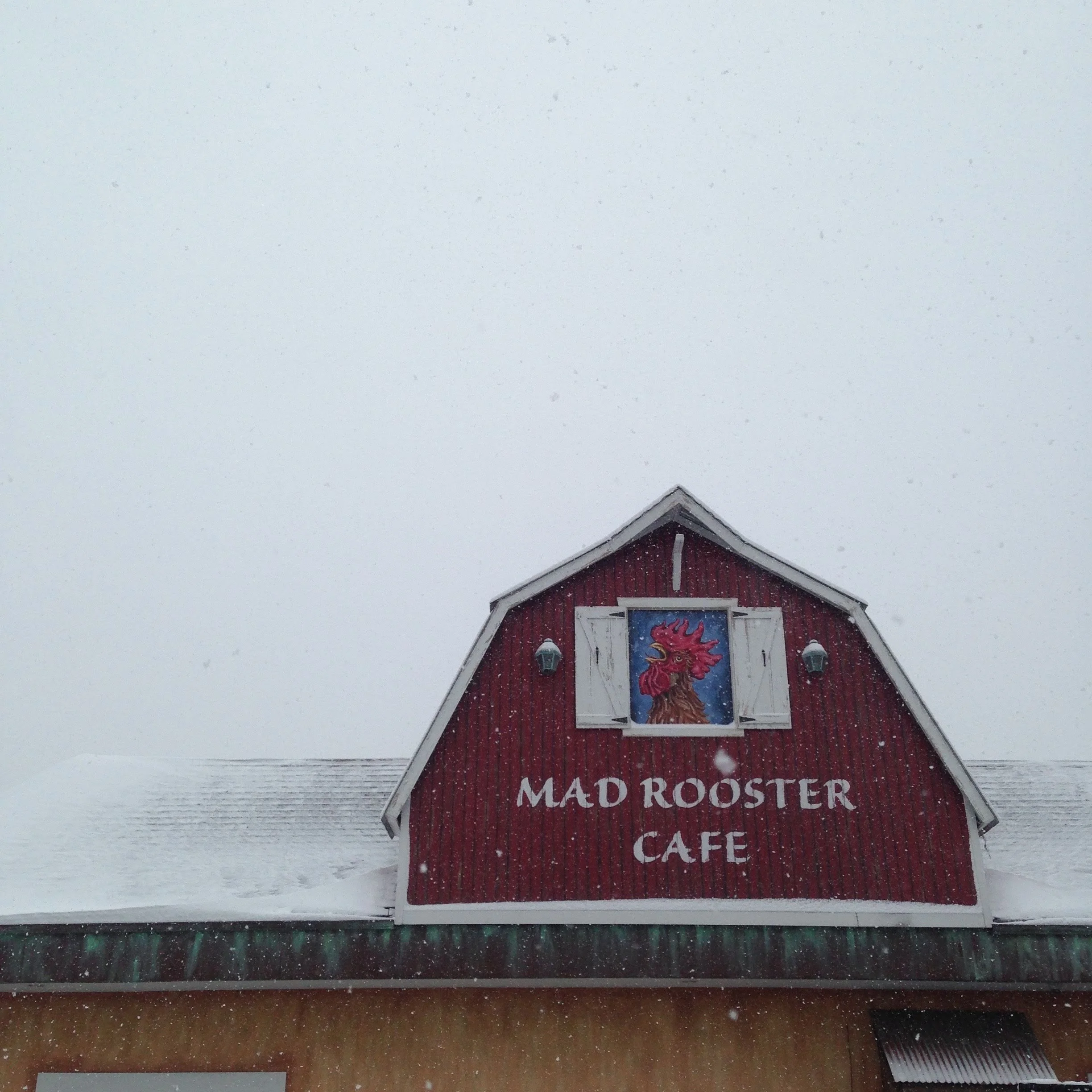 2015-11-21 11.28.15.jpg