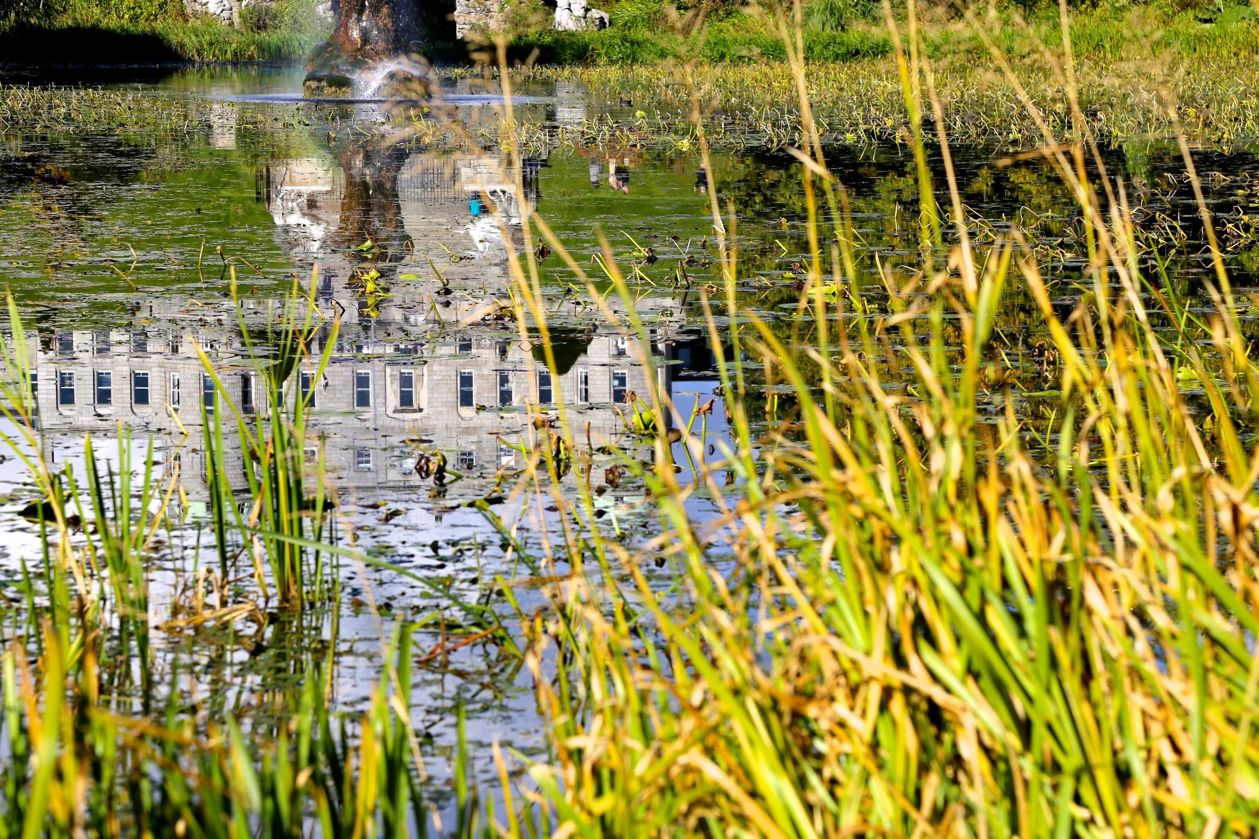 2014-10-12 06.09.43.jpg