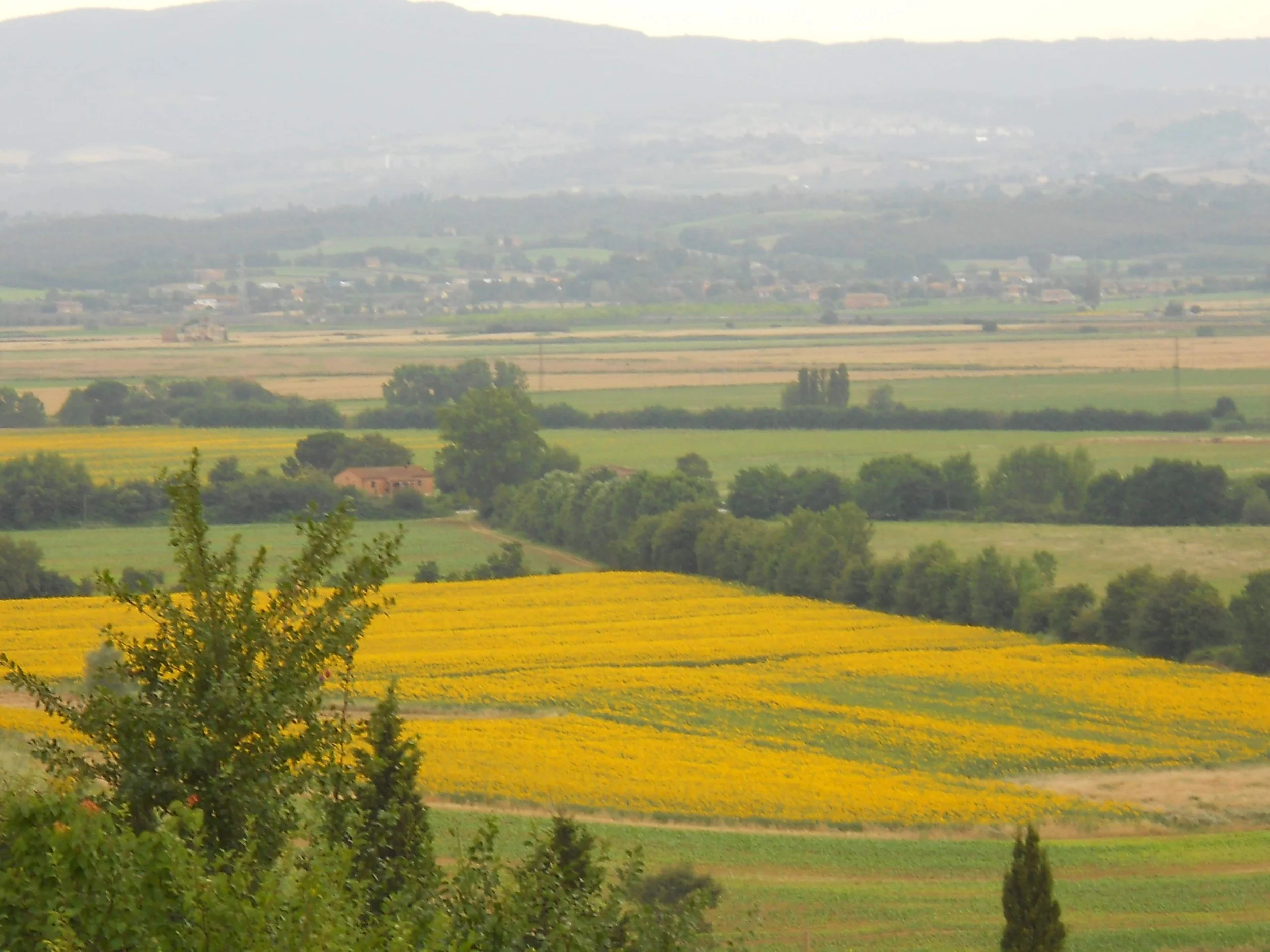 2011-07-04 09.28.49.jpg