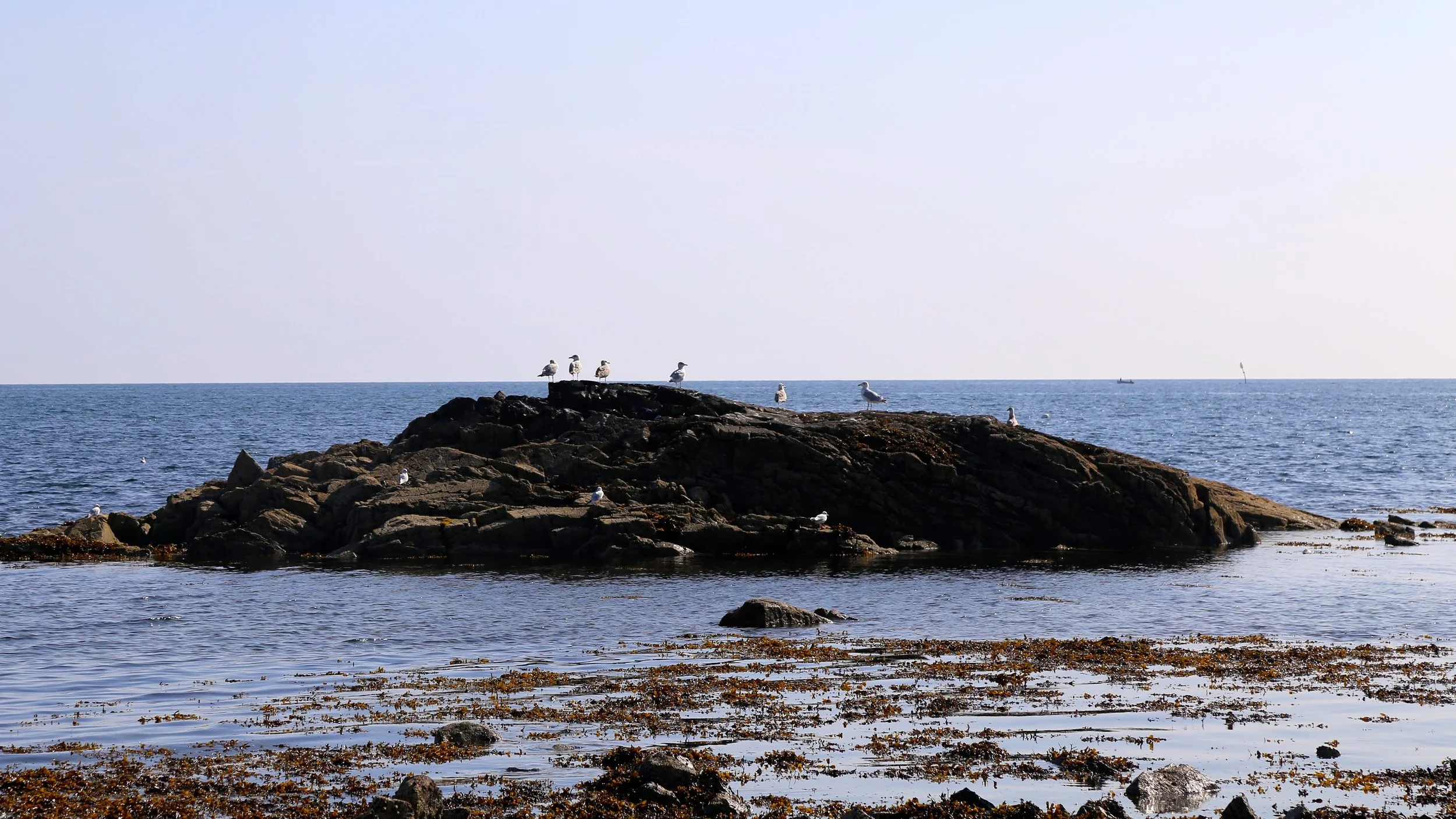 2014-09-21 07.29.52.jpg