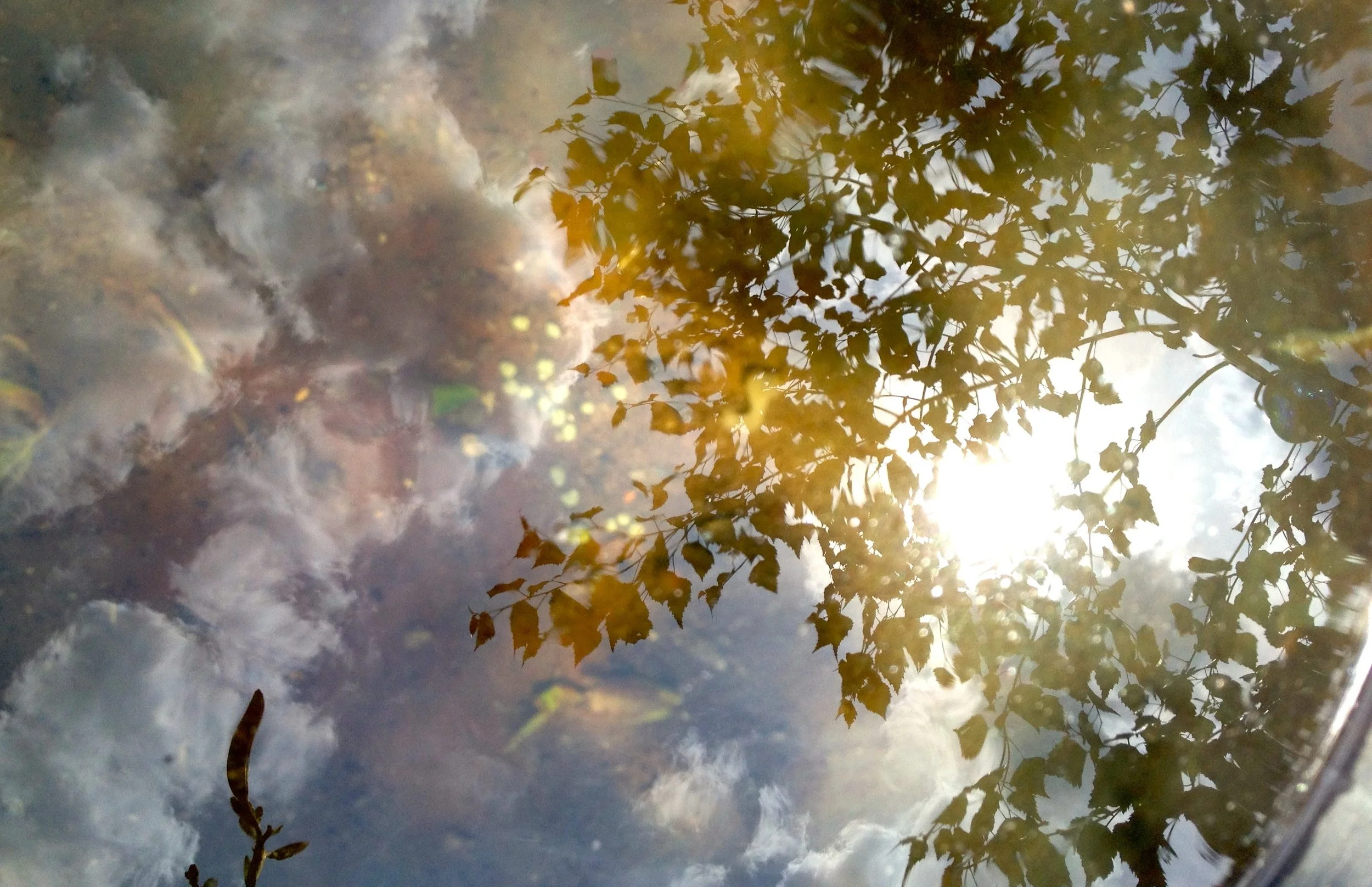 2012-06-10 14.28.36.jpg