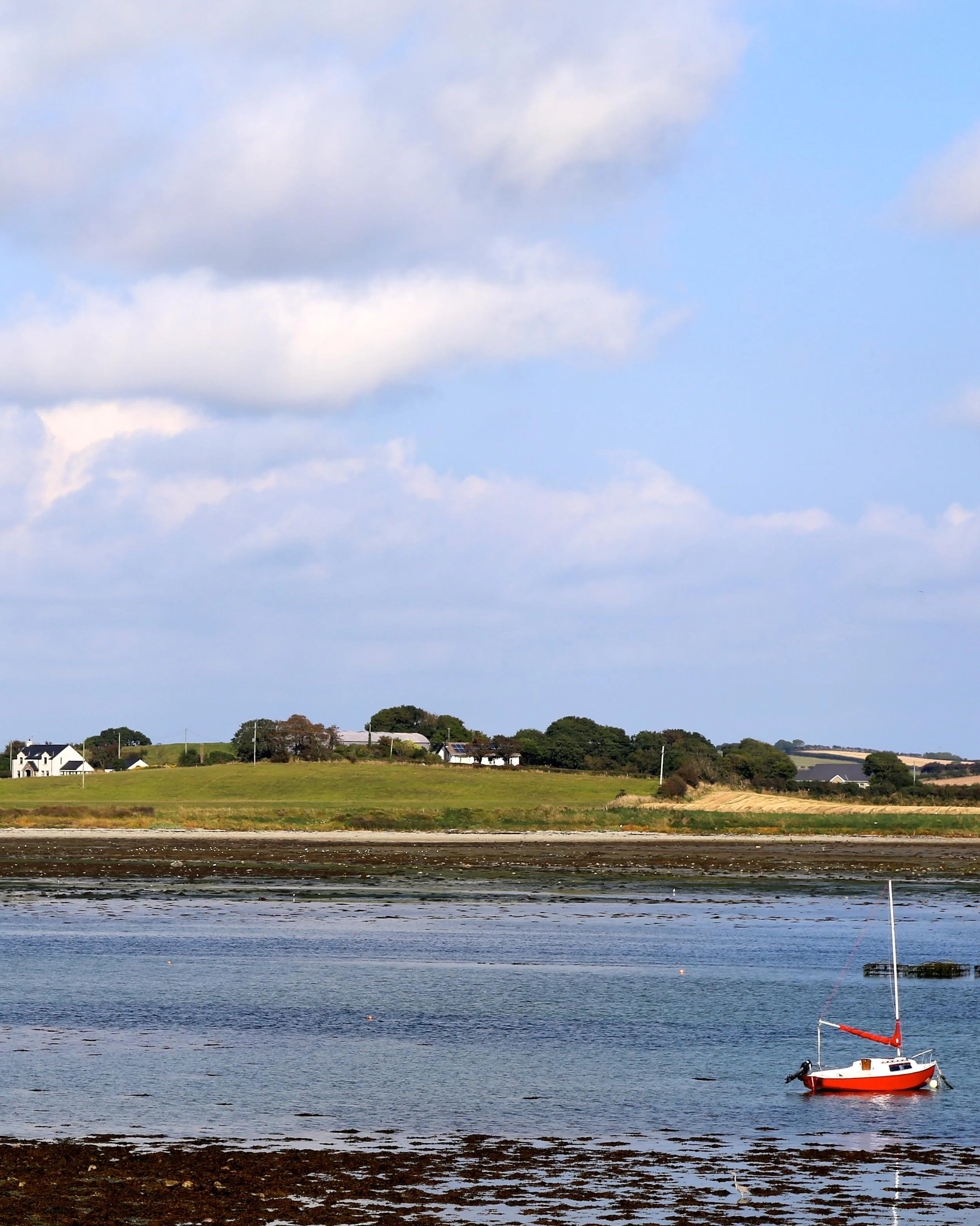 2014-09-21 07.50.49.jpg