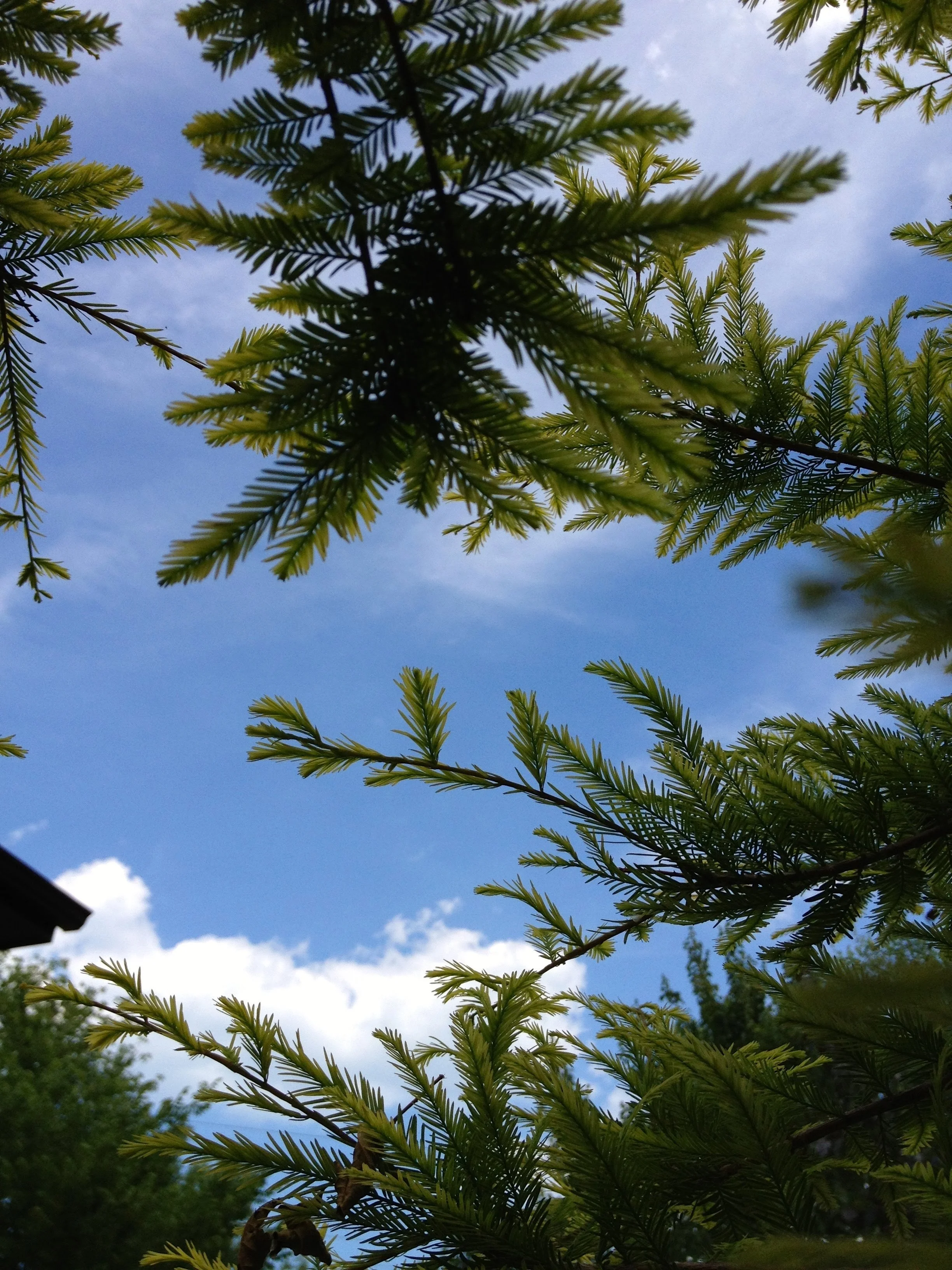 2012-06-10 14.31.12.jpg