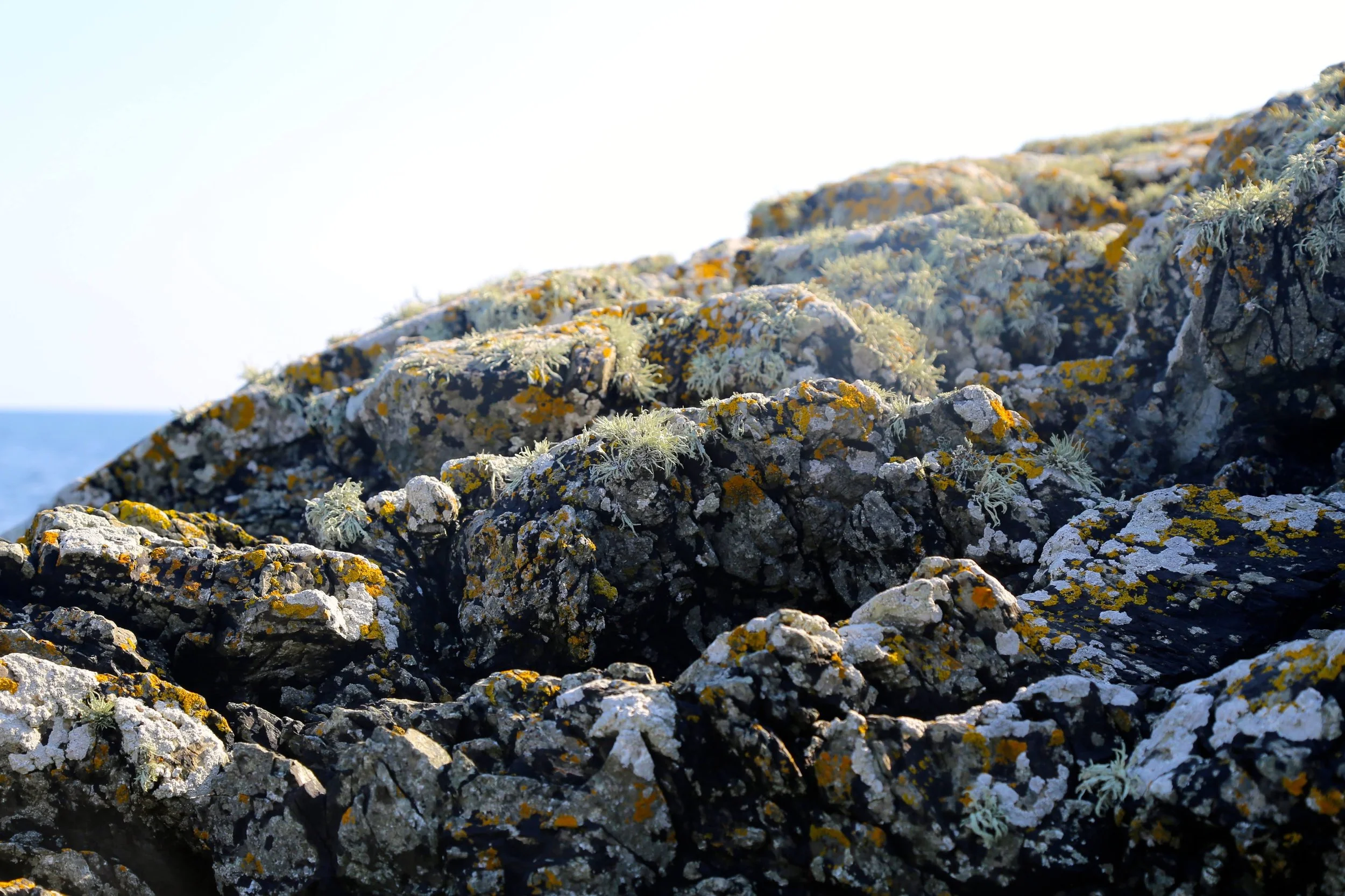 2014-09-21 07.16.09.jpg