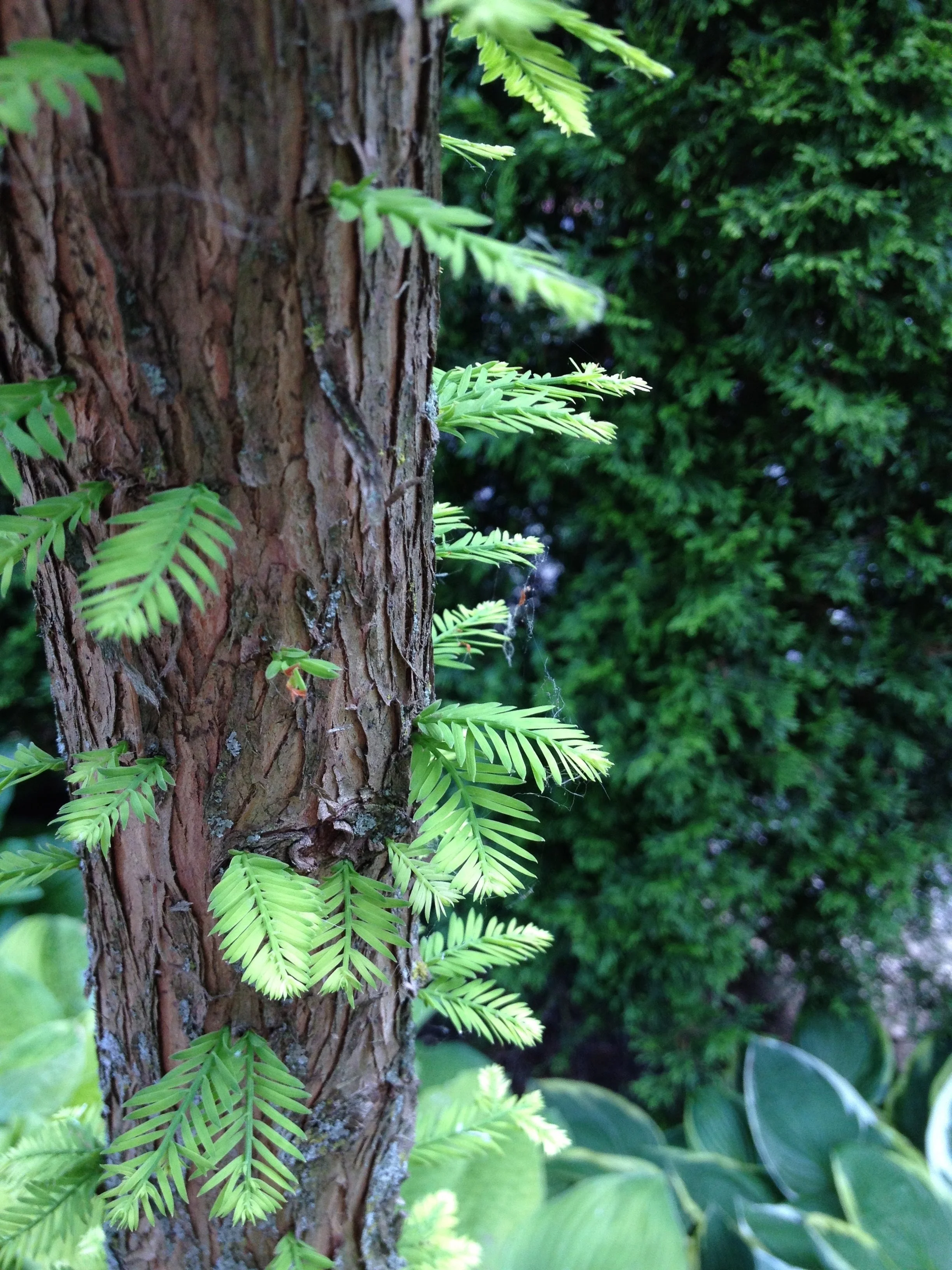 2012-06-10 14.30.38.jpg