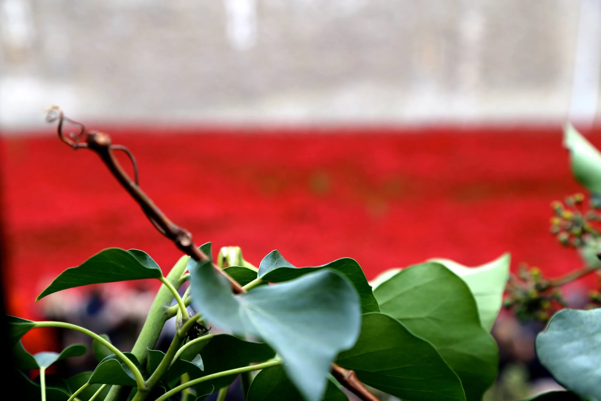 2014-11-08 08.27.39.jpg