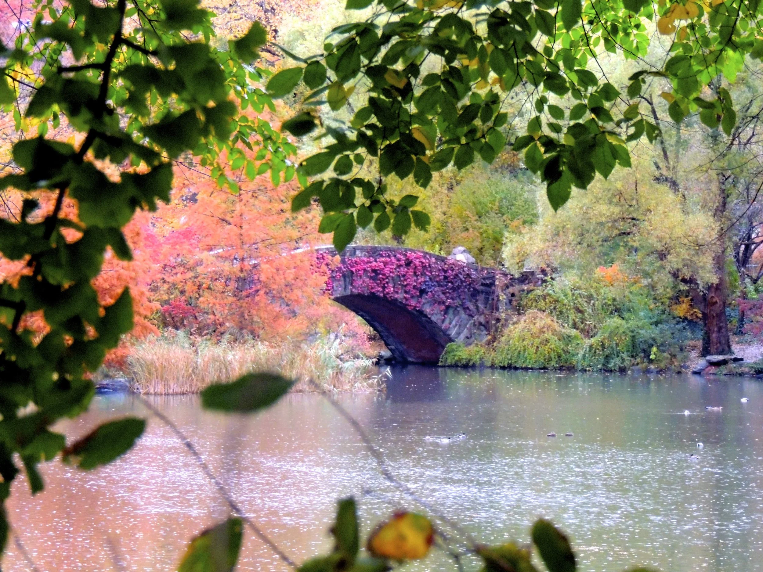 2013-11-07 04.15.42.jpg