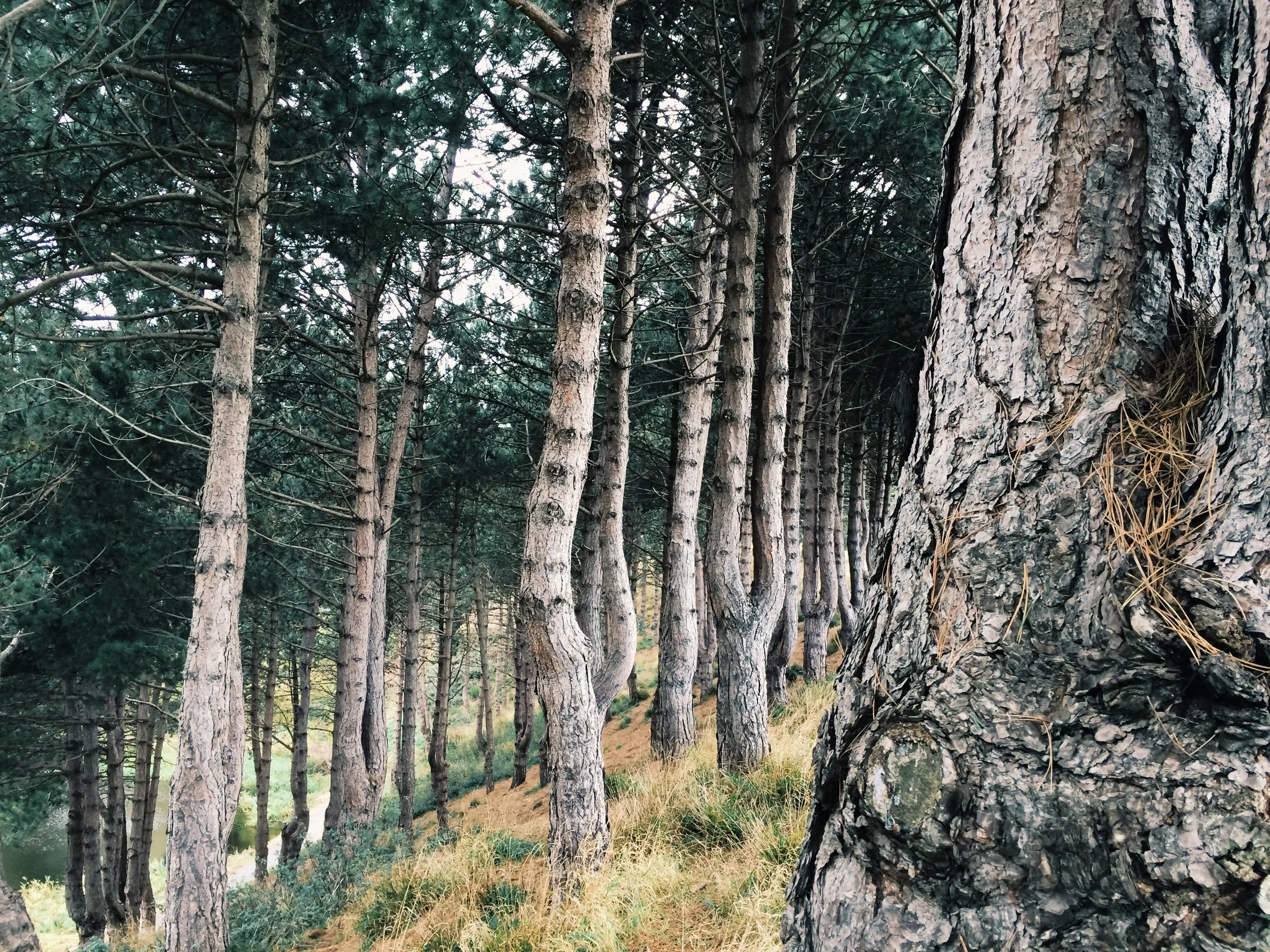 2014-10-27 13.36.38.jpg