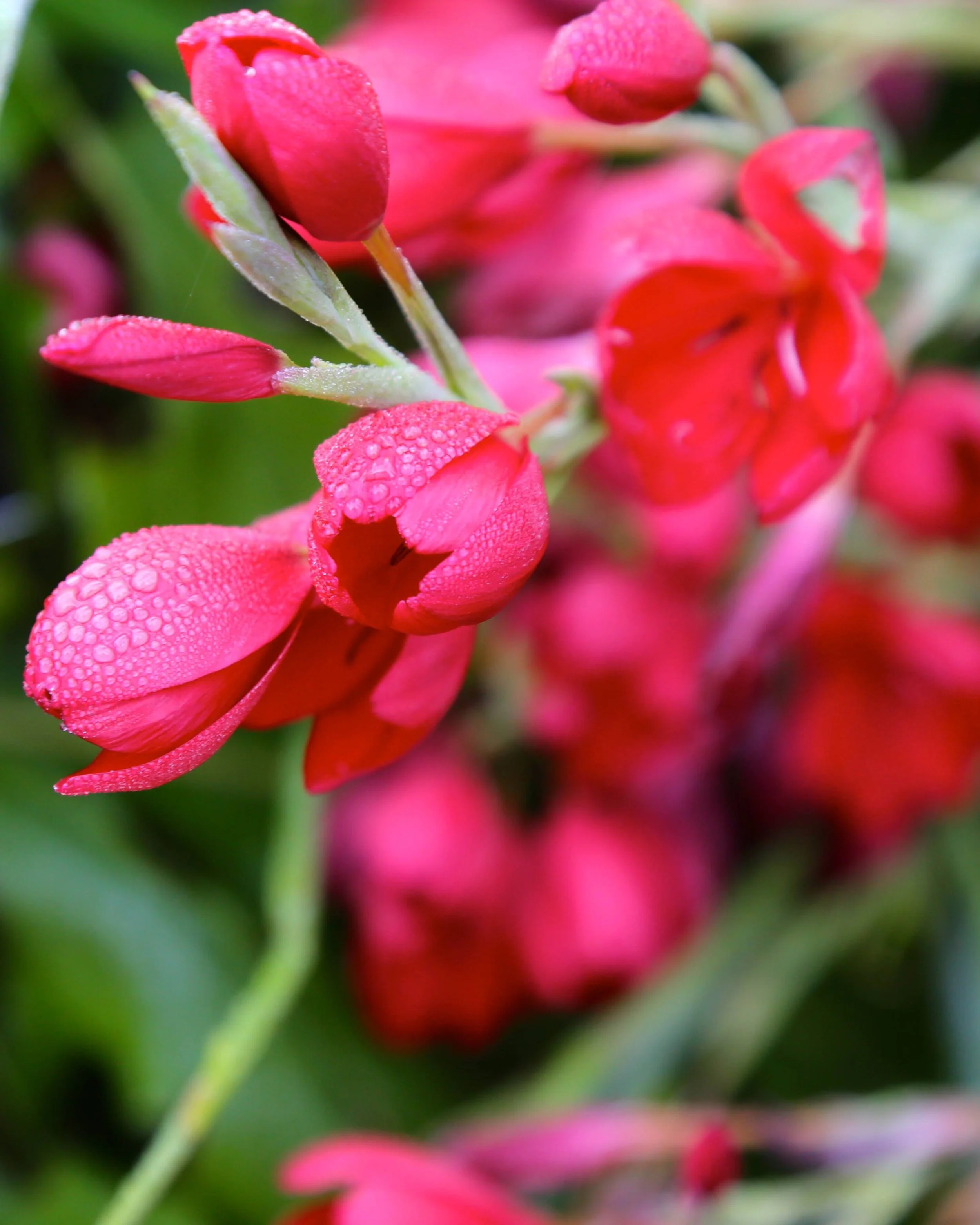 2014-10-12 06.23.05.jpg