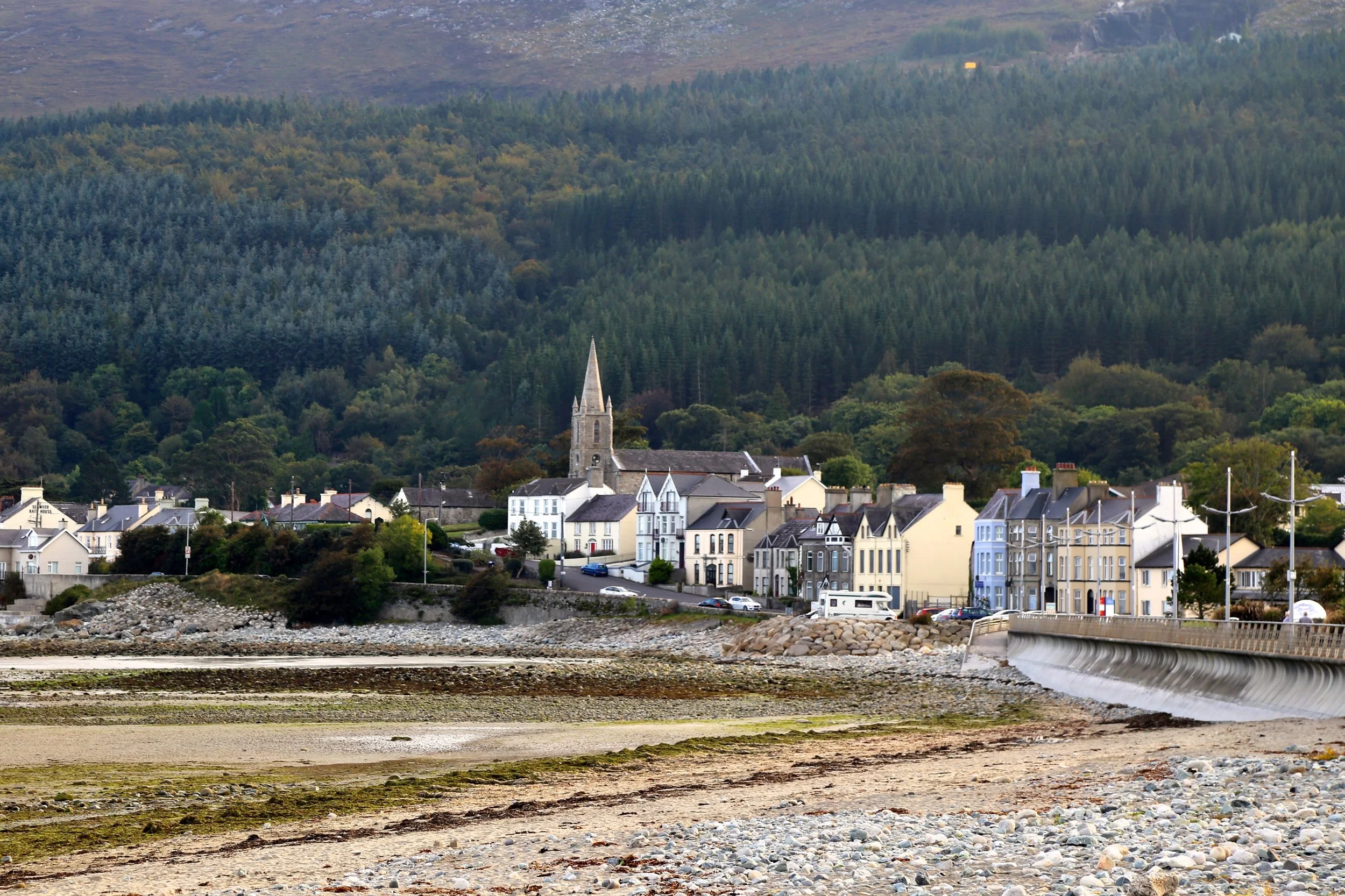 2014-09-21 11.52.54.jpg