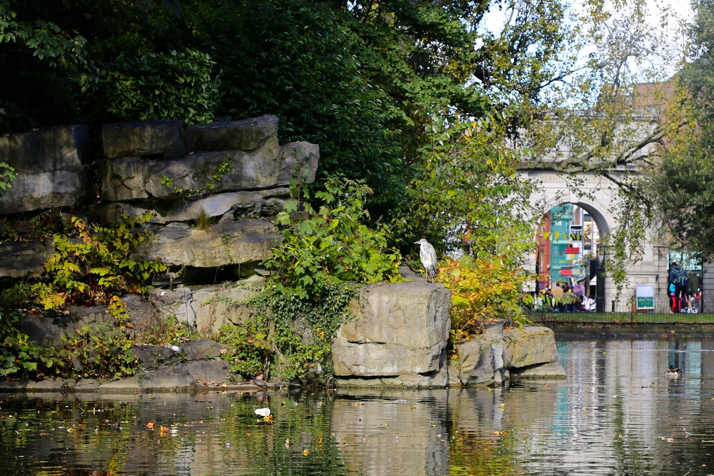 2014-10-04 07.09.28.jpg