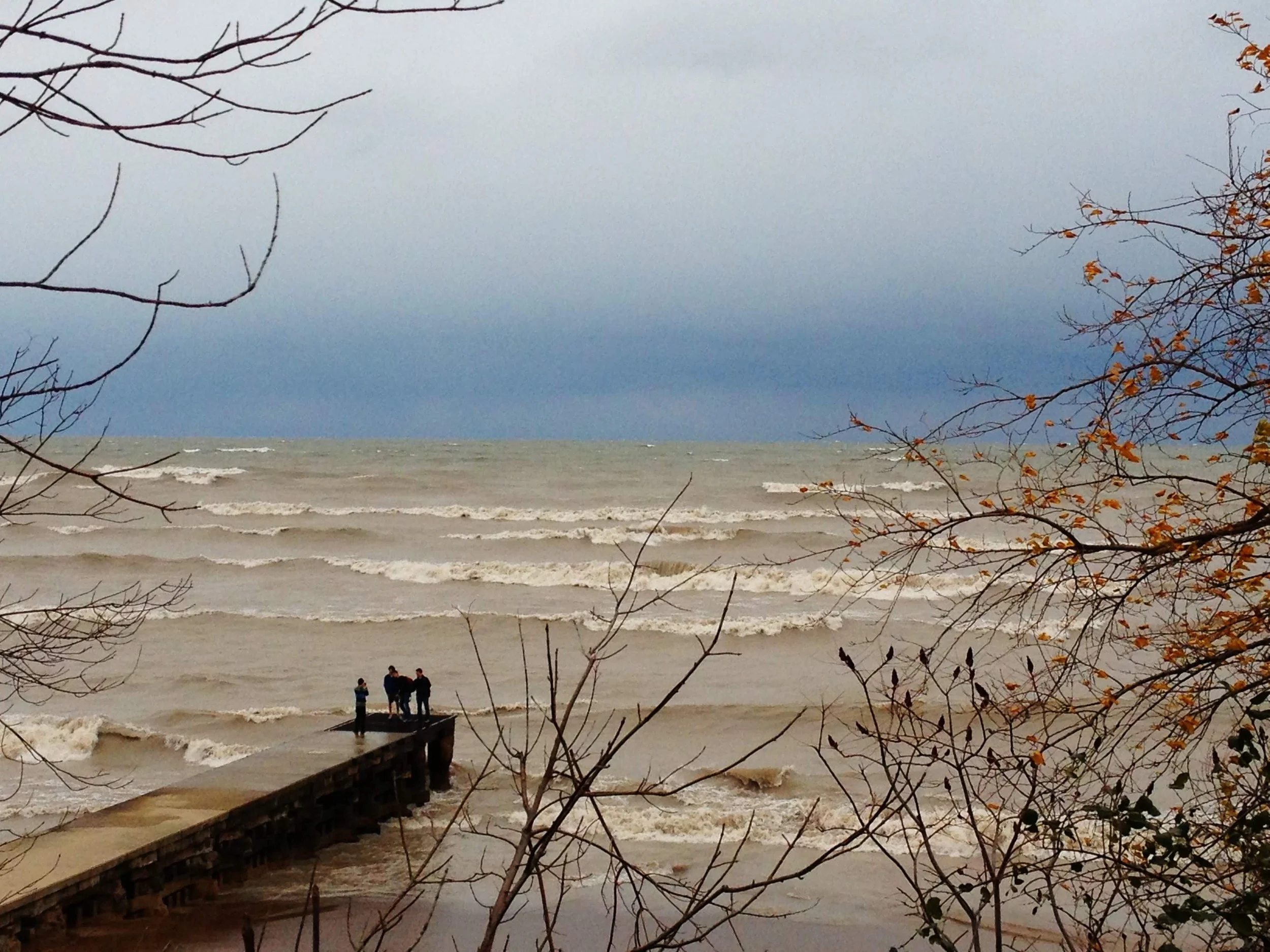 2012-10-30 15.52.14.jpg