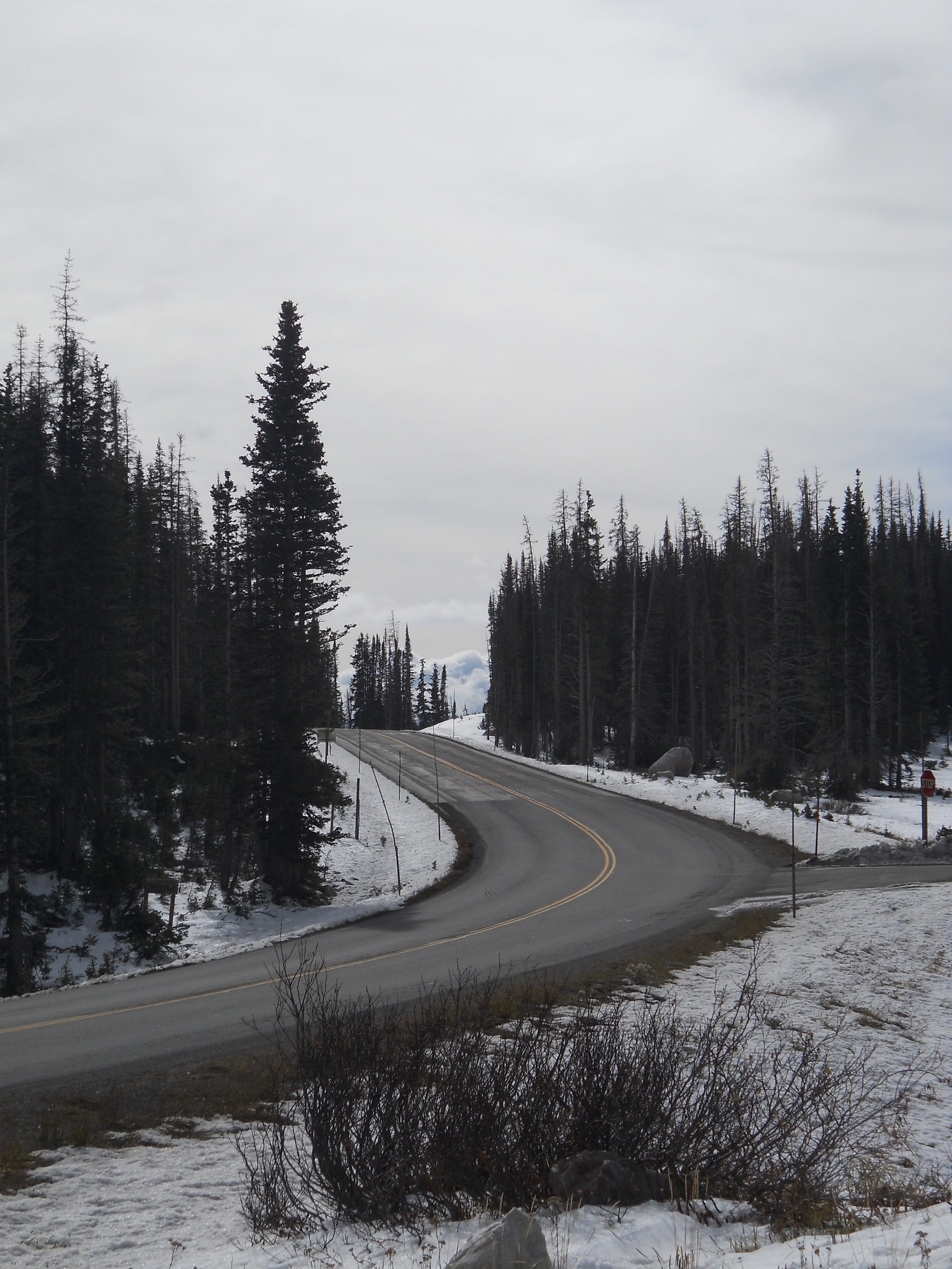 2011-10-22 12.09.08.jpg