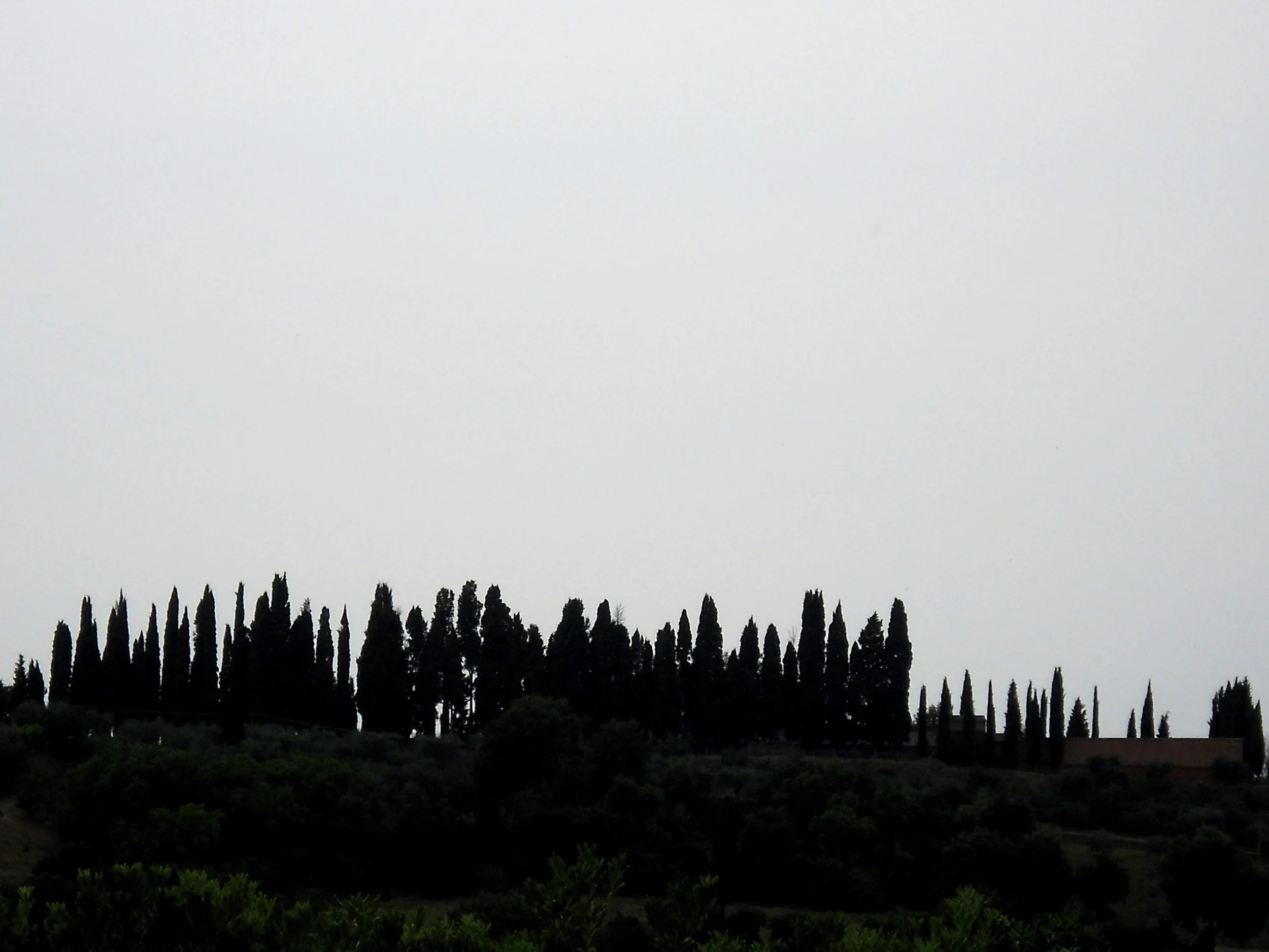 2011-07-04 09.29.27.jpg