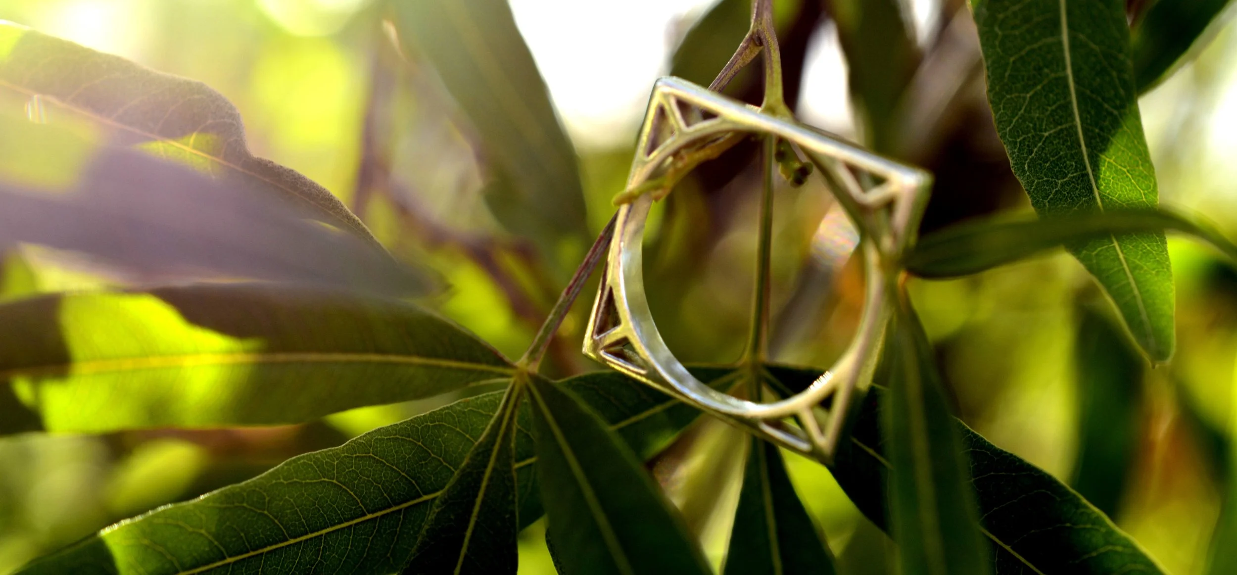 Deco Ring Leaves Light - Copy.jpg