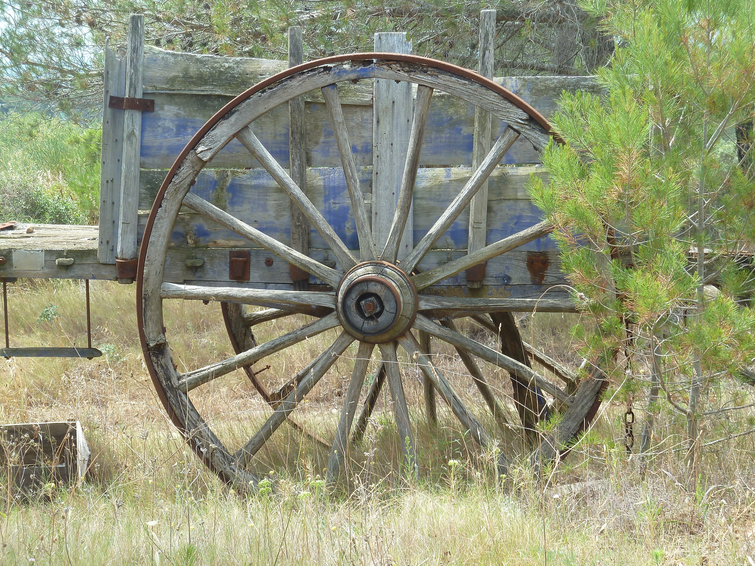 Blue Wagon