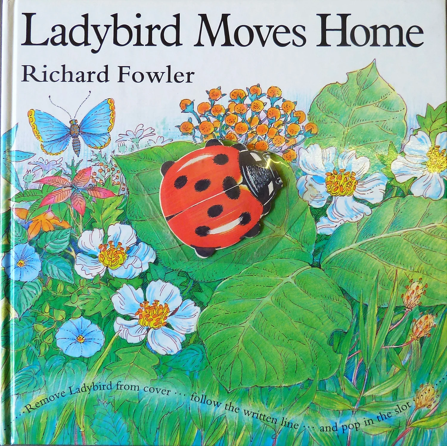 Ladybird Moves Home