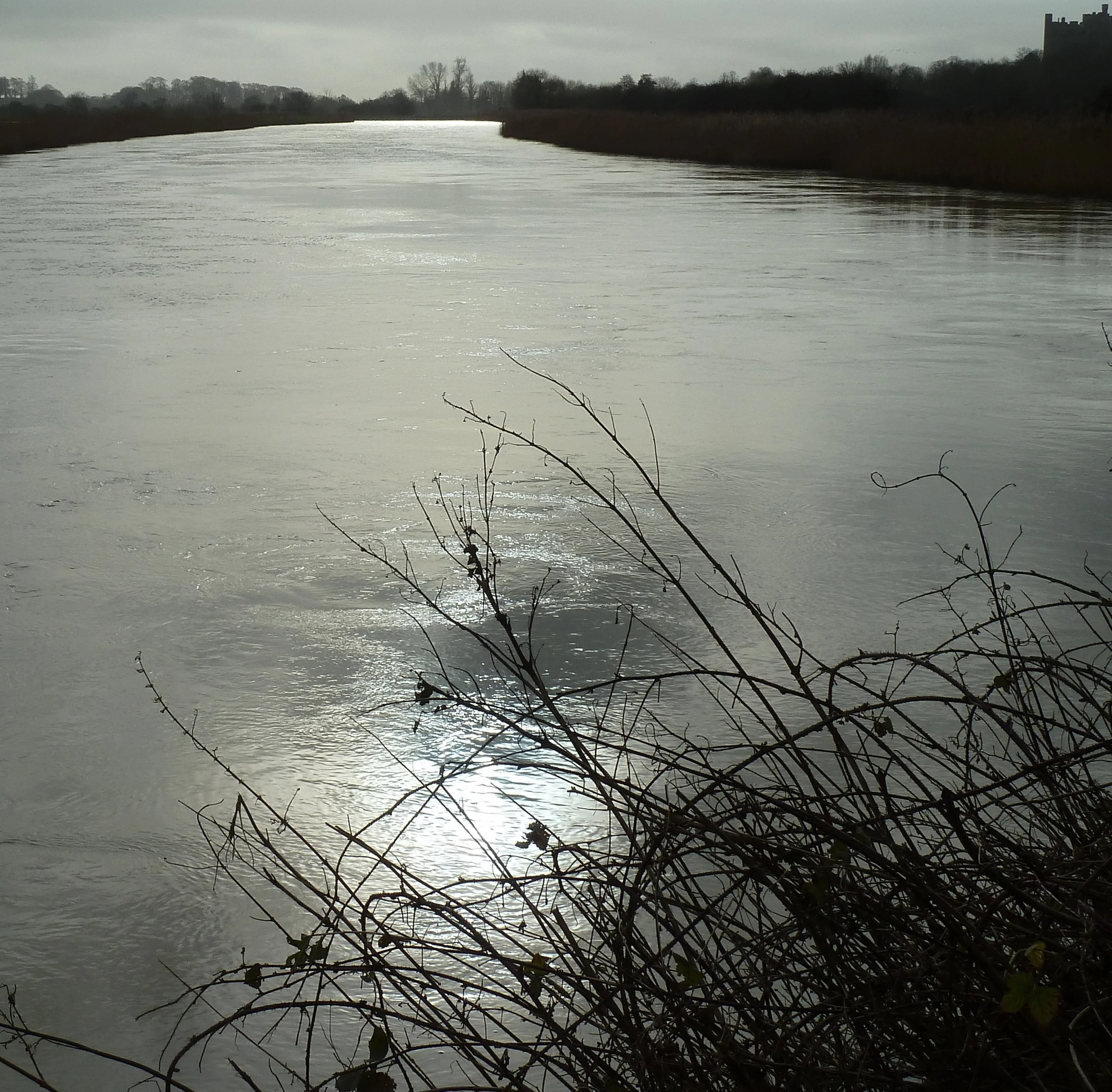 Swollen River