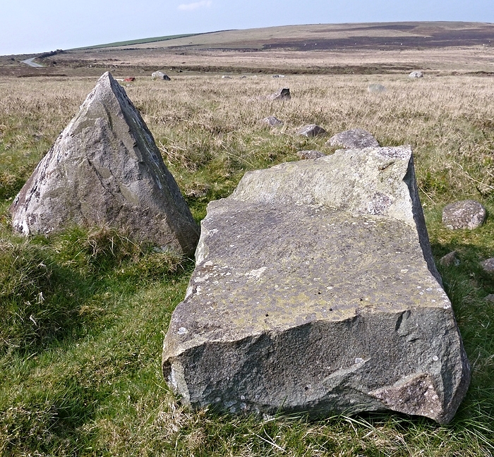 Carningli Common