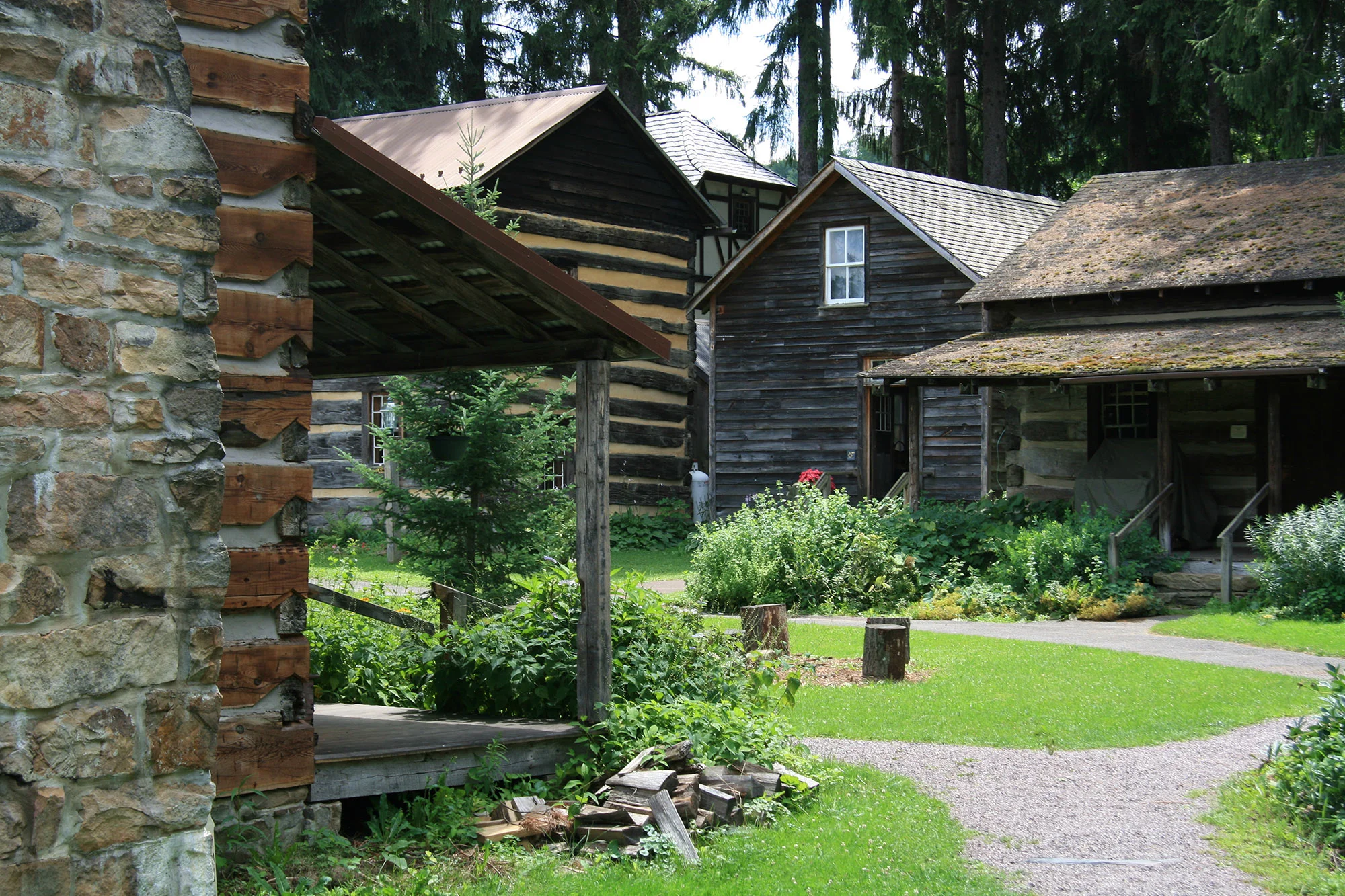 The Spruce Forest at Penn Alps