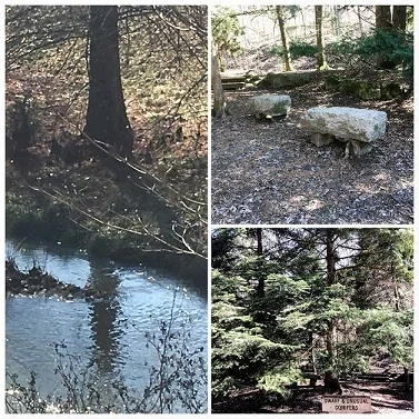  Three of David’s many photos from his hikes