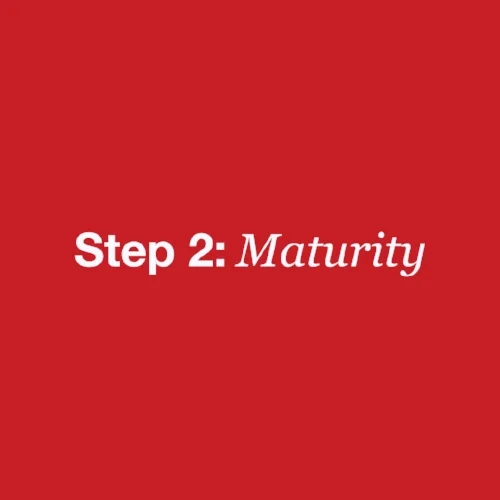 Step2.jpg