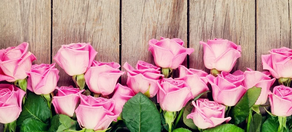 Pink-roses-wood-background_1024x768.jpg