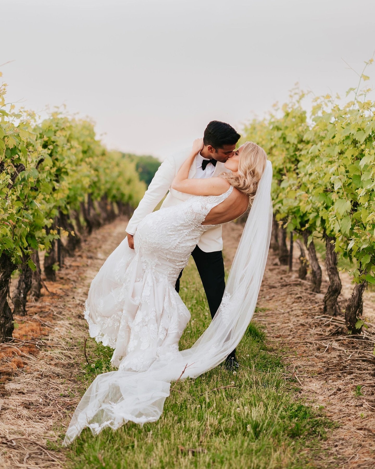 Okay Cassie and Canute&hellip; this explains why it was so hot that day 🥵🫢😍 @vieniestates
.
.
#vieniestates #weddingday #torontowedding #torontoweddingphotographer #brideandgroom #winery #summerwedding #torontocouple #winerywedding