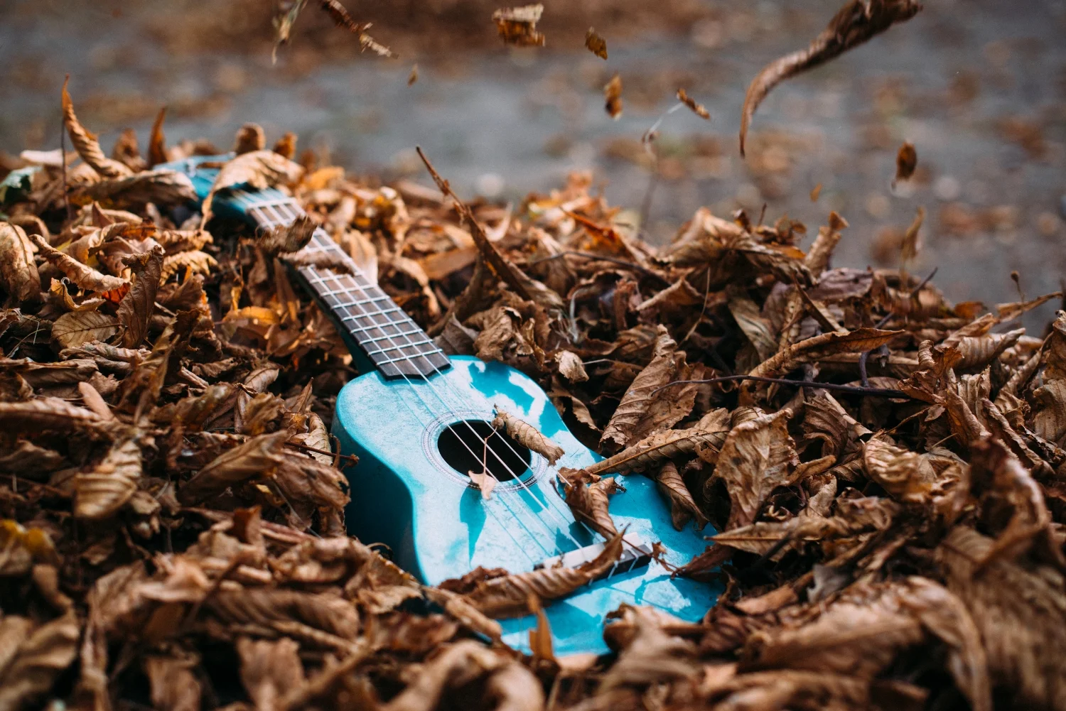 Autumn L(v)eaves - Lviv, Ukraine