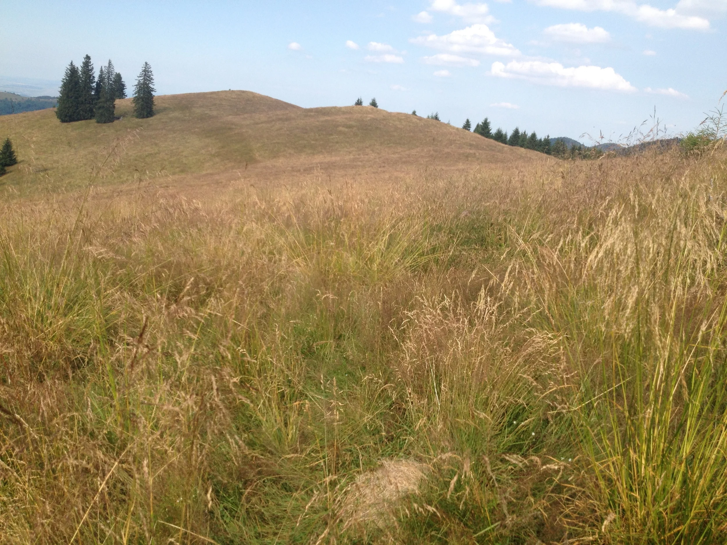 A little break - Sibiel, Romania