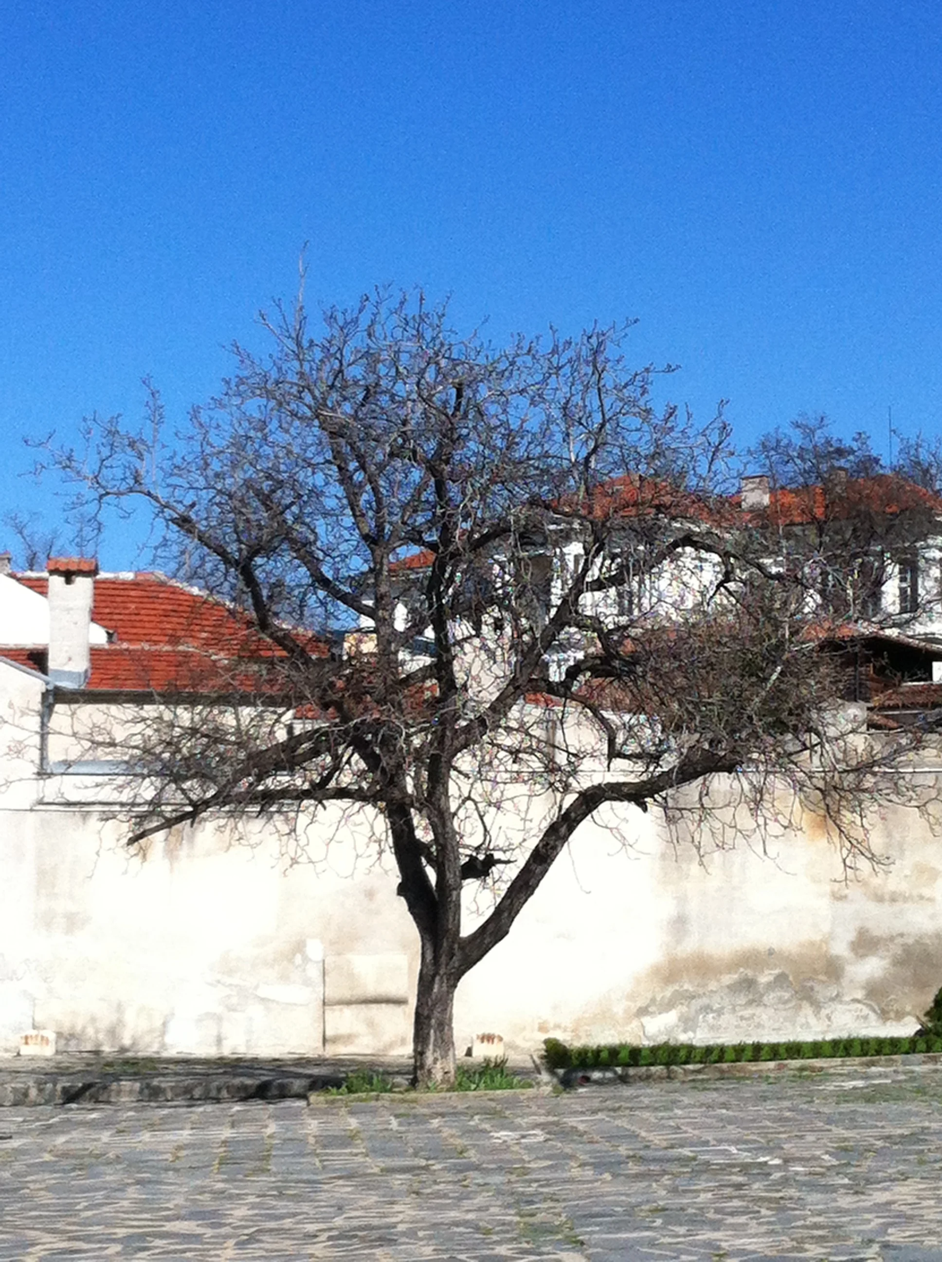 Plovdivian Promenade -  Plovdiv (Пловдив)
