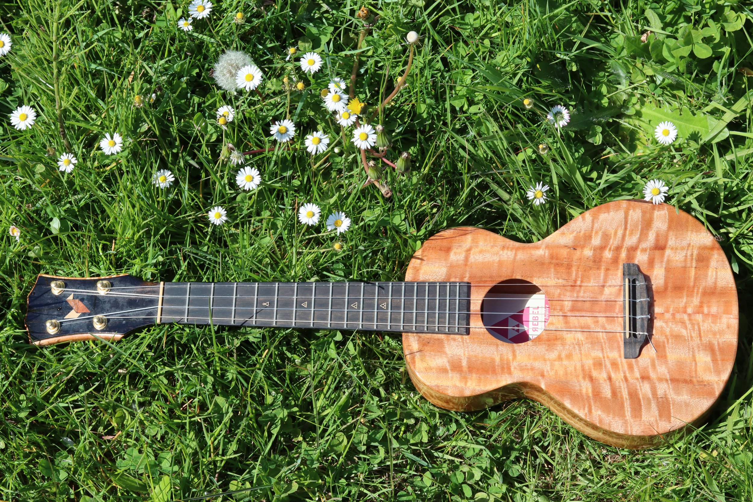 Raindrops Keep Fallin' on My Head by B.J. Thomas with chords, strum &amp; tutorial