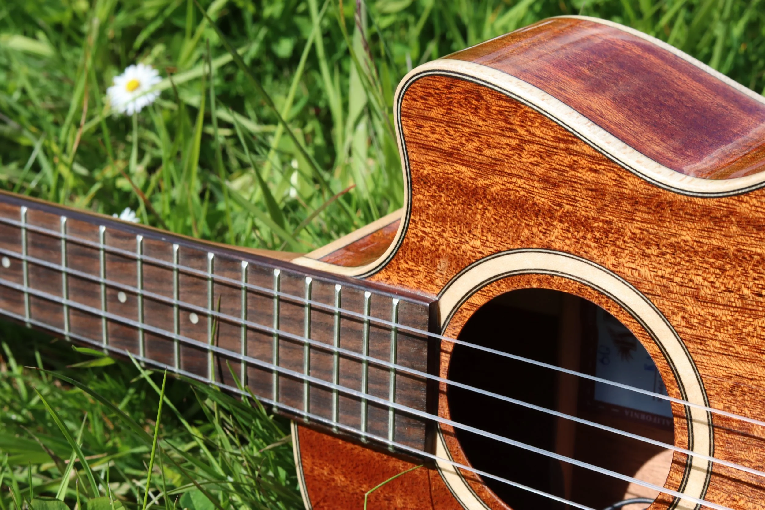 Somewhere Over the Rainbow by Israel Kamakawiwoʻole with chords, strum &amp; tutorial