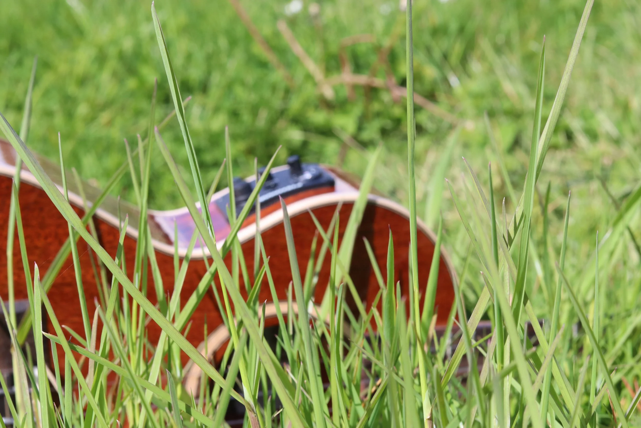 Let Her Go by Passenger with chords, strum &amp; tutorial