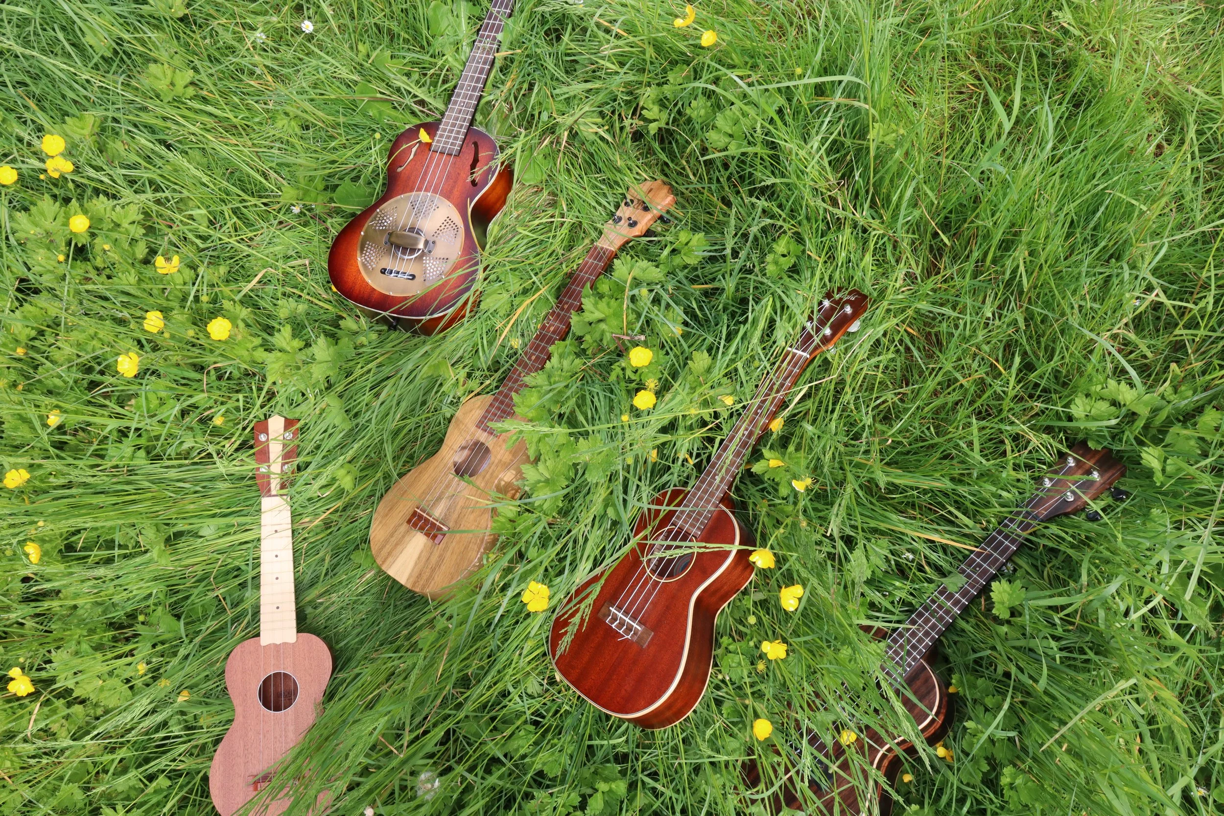 Crafting Your Signature Sound: Customization Tips for Ukulele Players