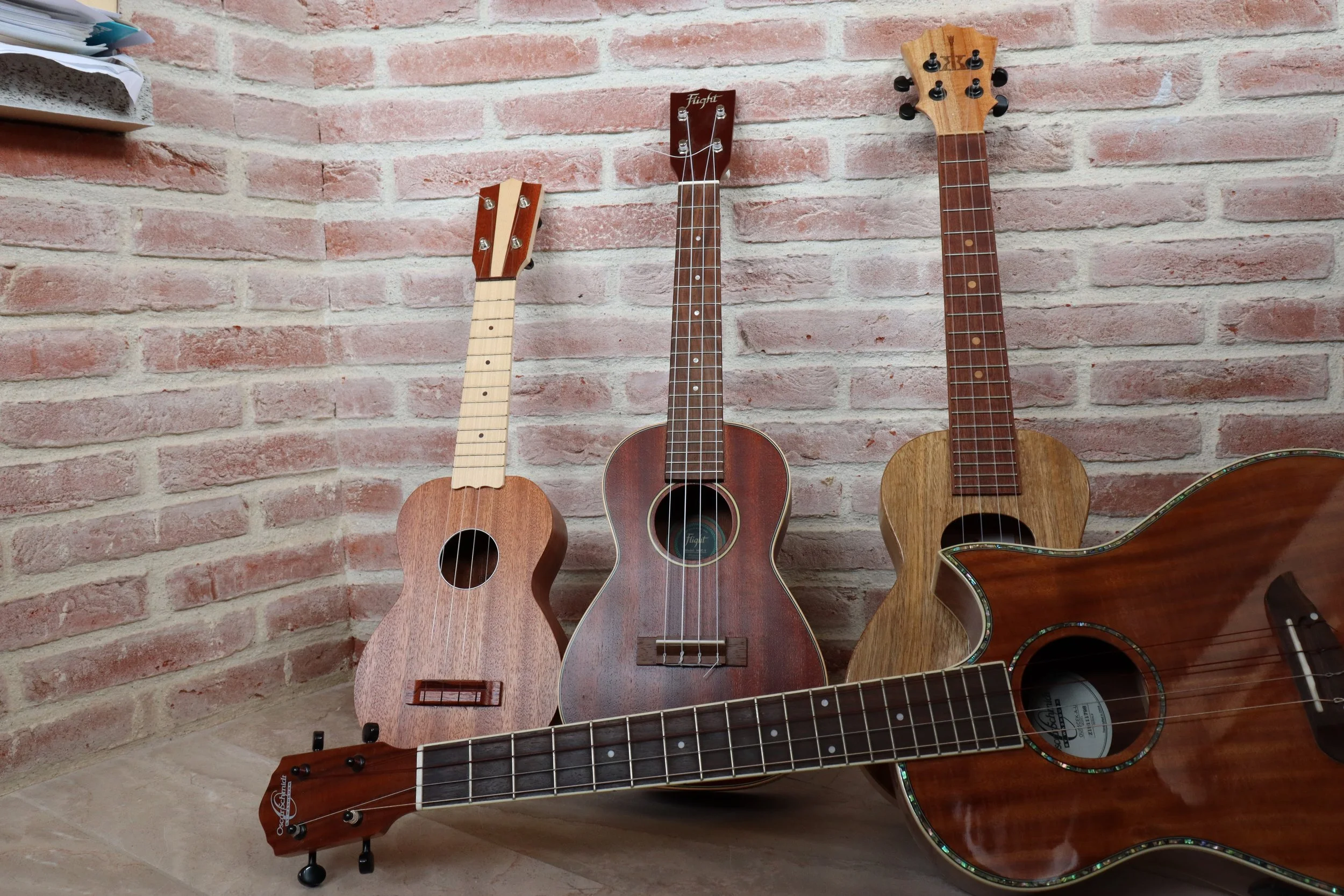 Choosing Your First Ukulele: Beginner-Friendly Options and Recommendations
