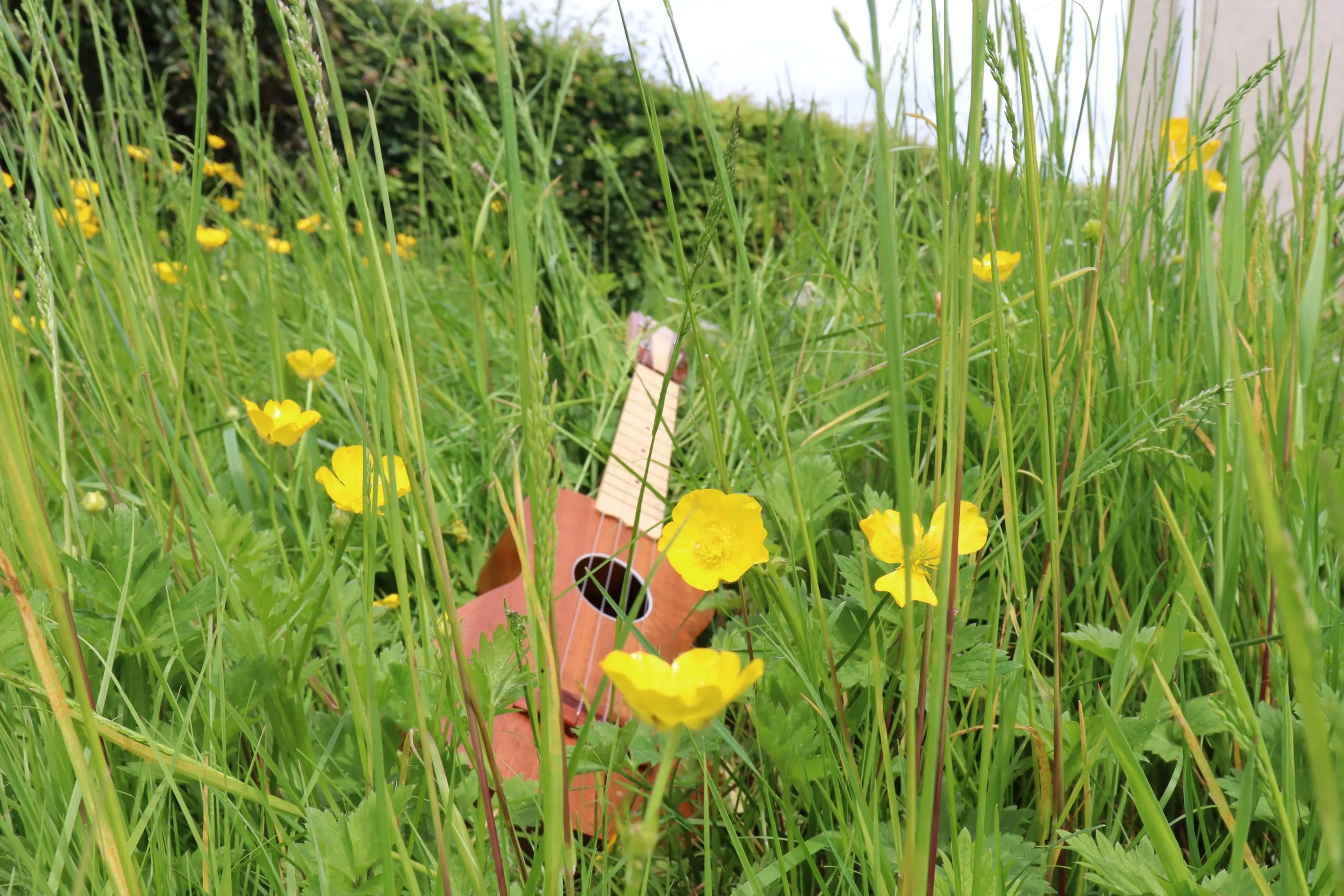 Ukulele for Kids: Fun and Easy Learning Resources for Young Musicians
